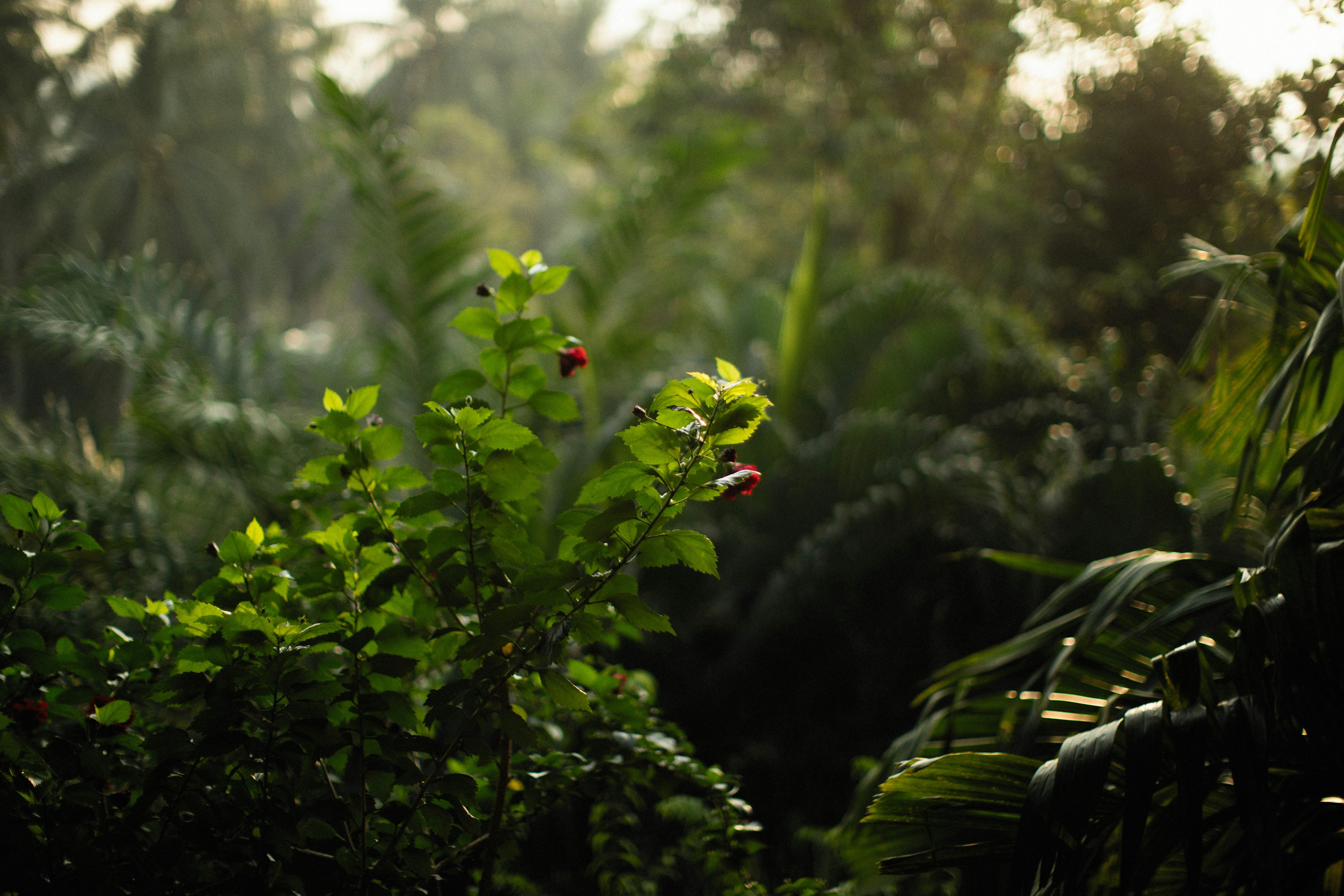 Photo by alexeydemidov