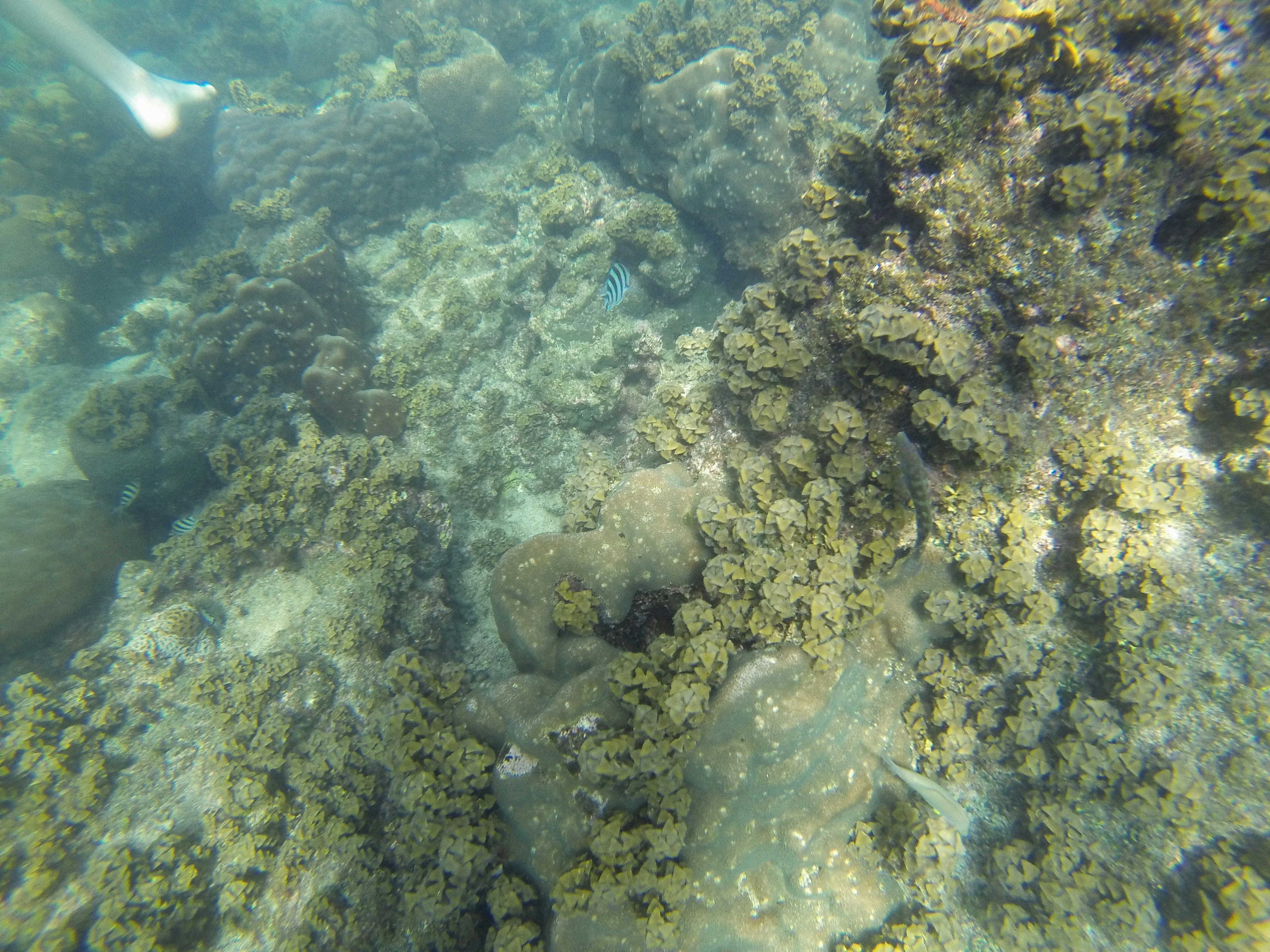 Photo by alexeydemidov