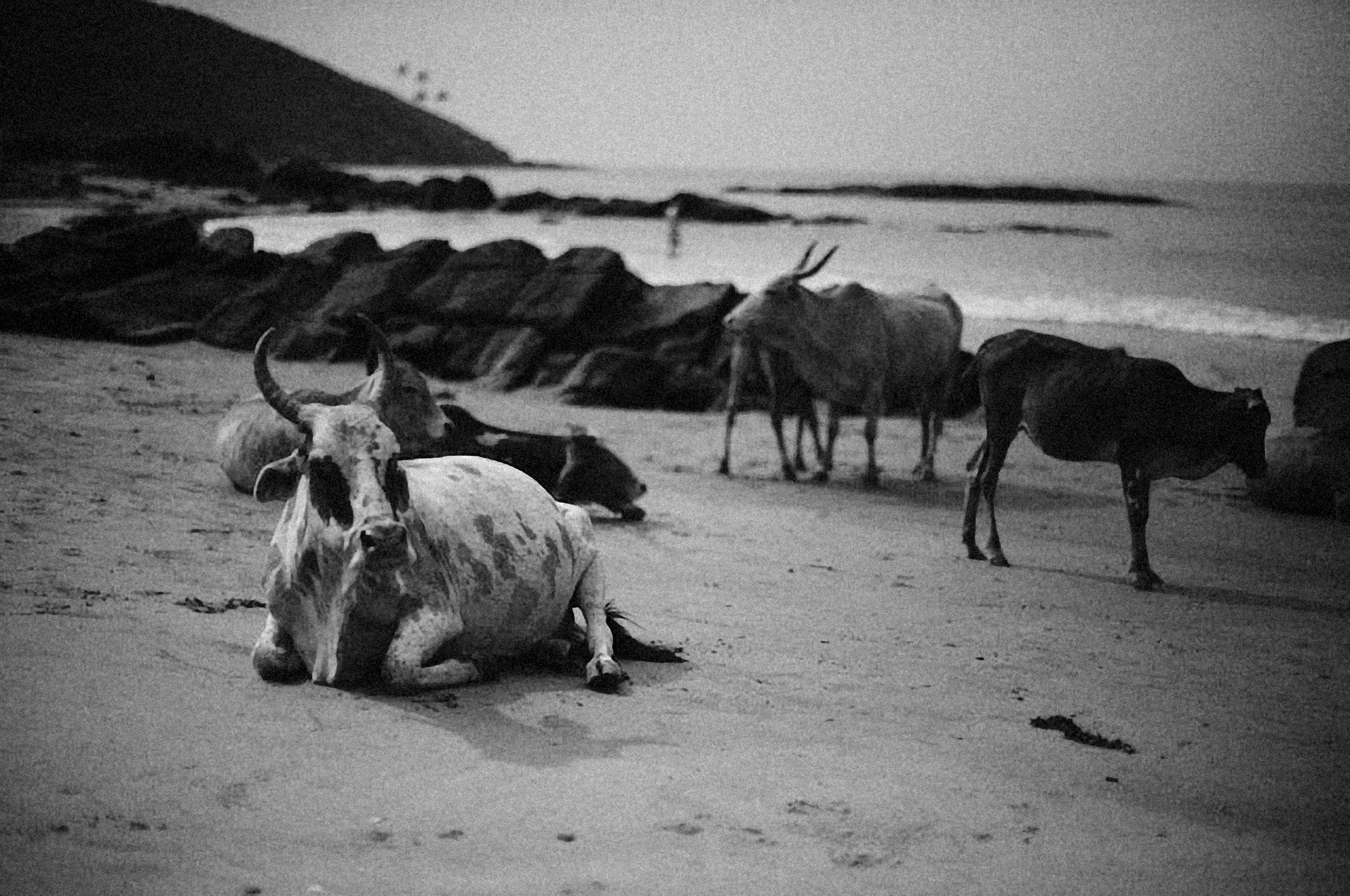 Photo by alexeydemidov