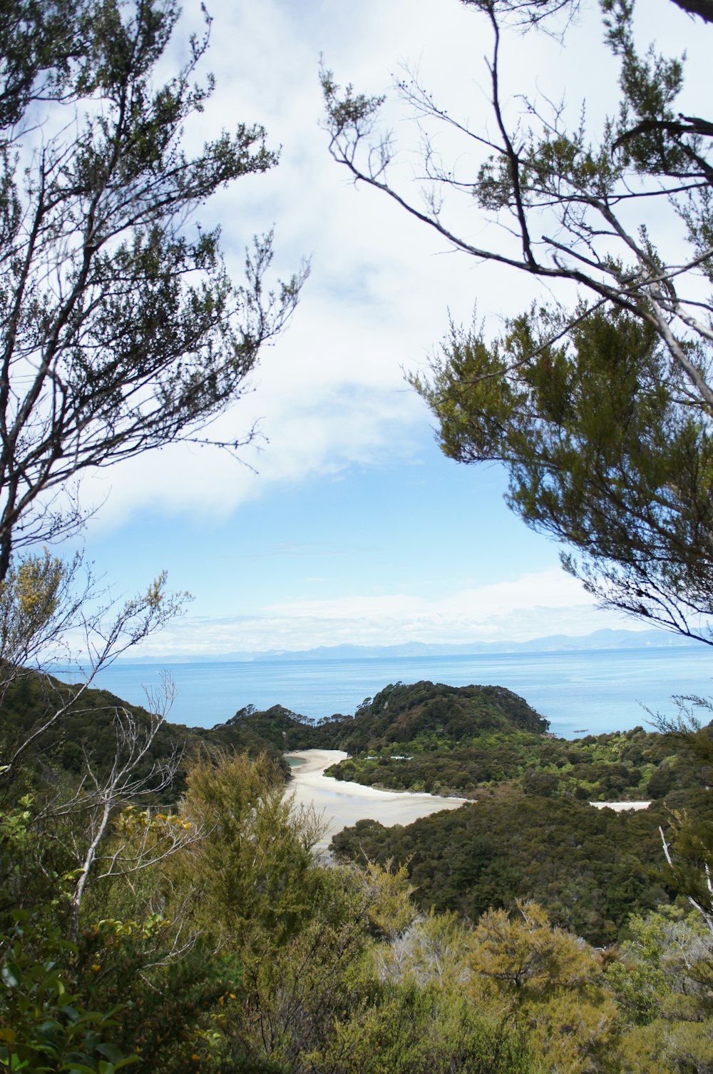 a view of a beach through some trees