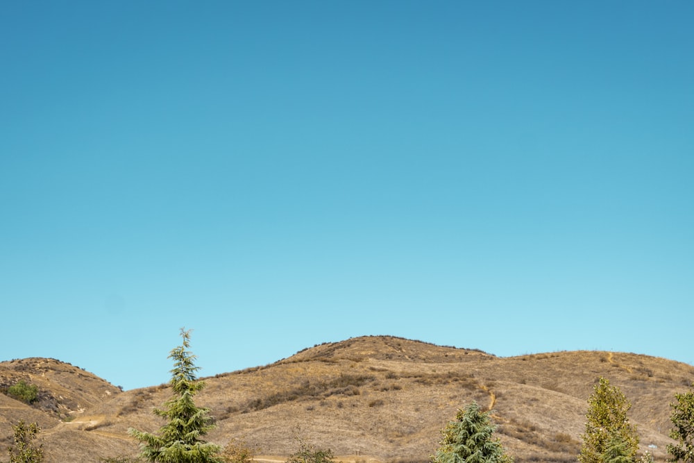 a view of a mountain range with trees in the foreground