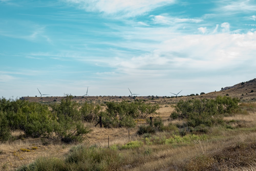 a grassy field with trees and wind mills in the distance