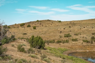 a grassy hill with a small pond in the middle of it