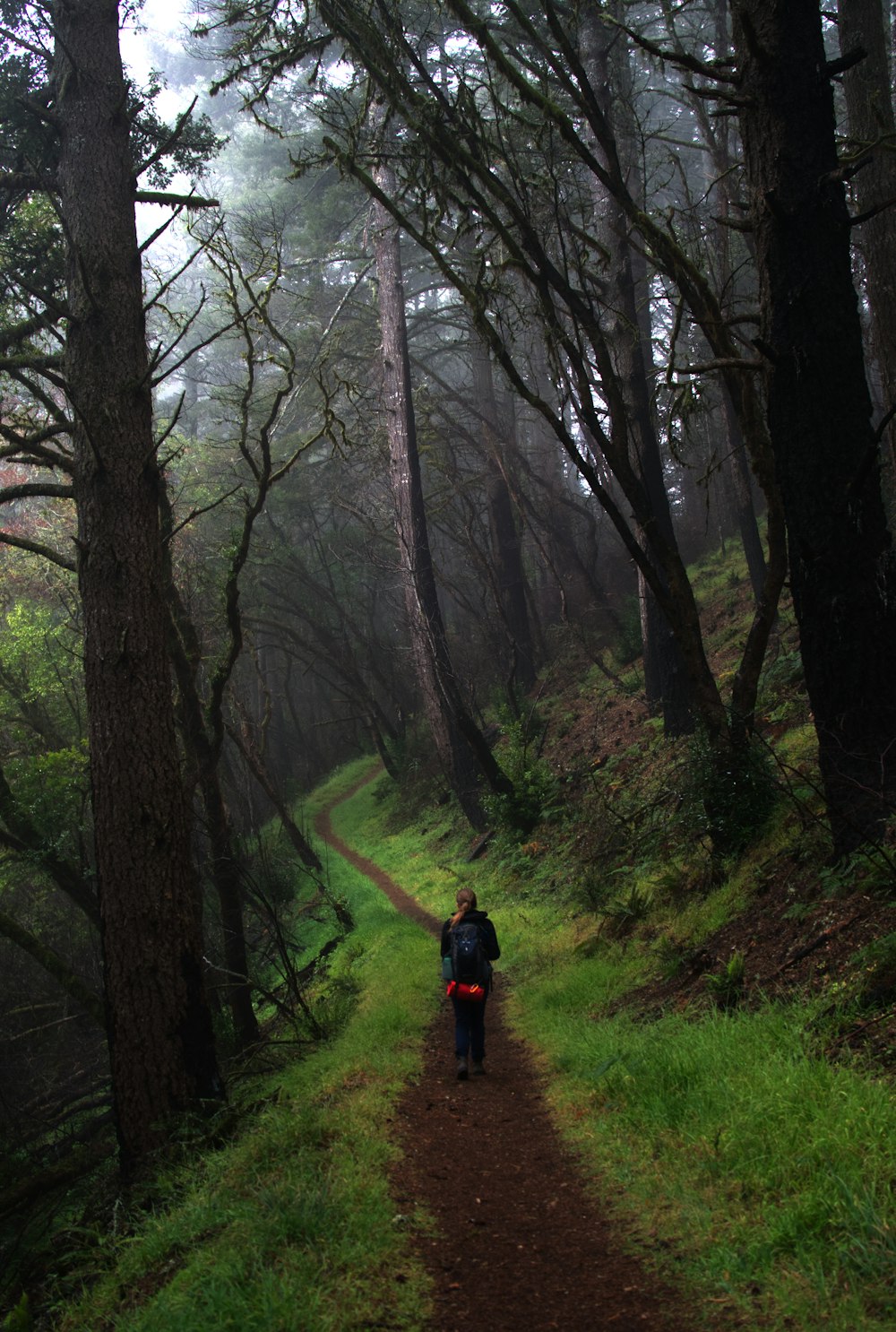 a person walking down a trail in the woods