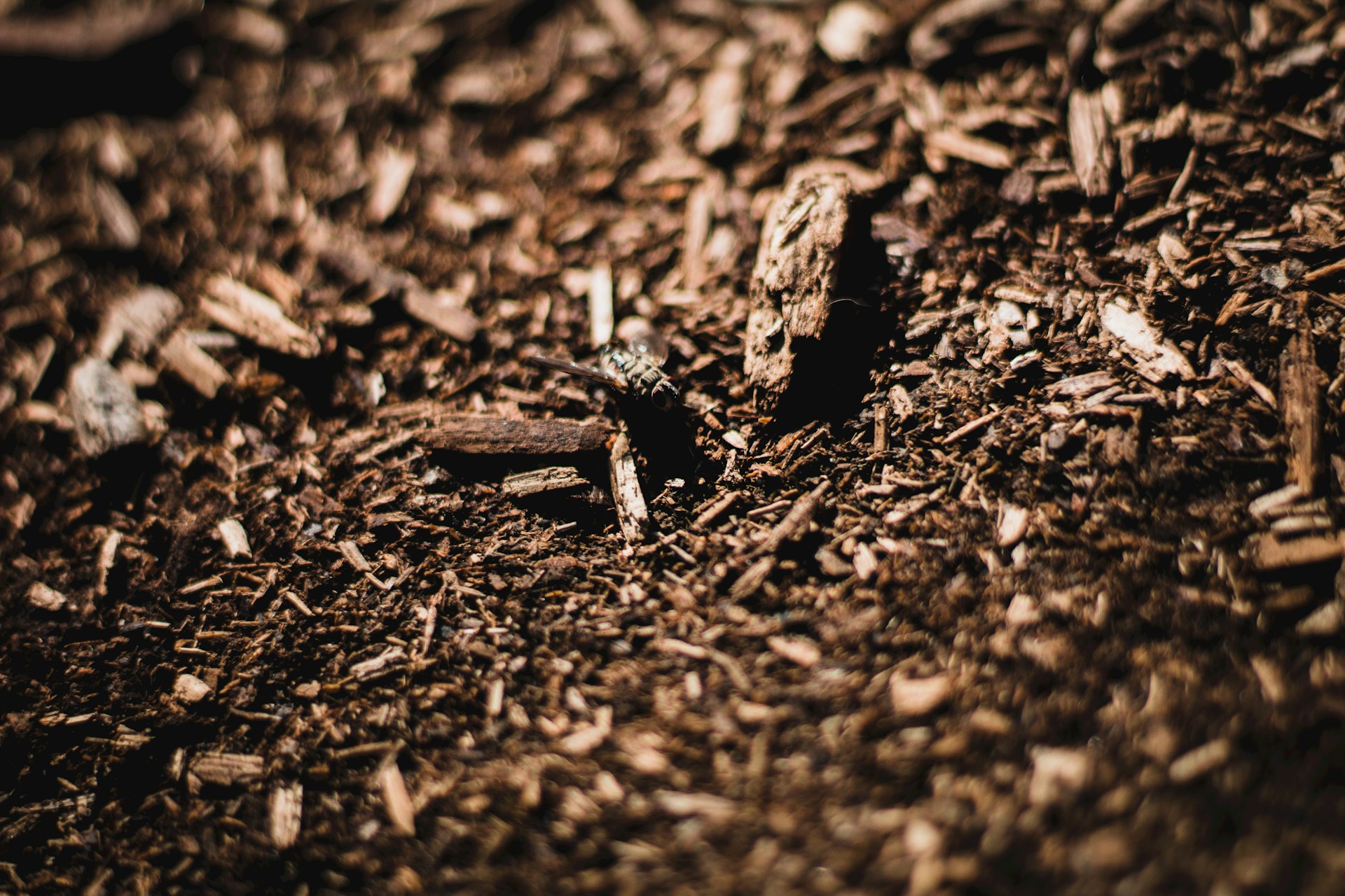 a pile of wood chips sitting on top of a pile of dirt