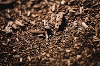 a pile of wood chips sitting on top of a pile of dirt