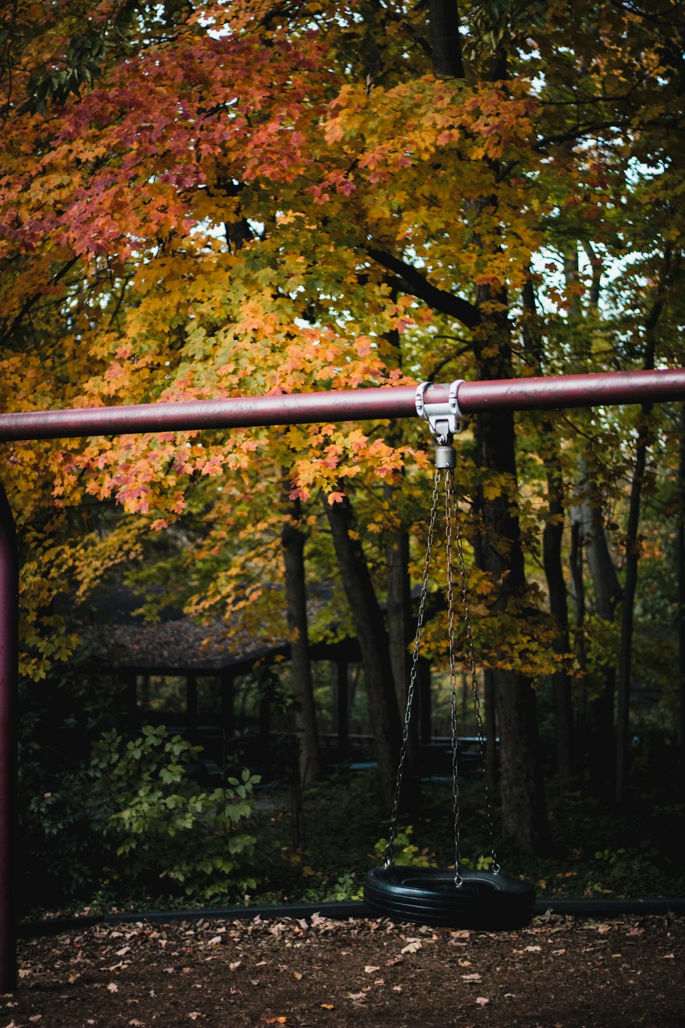 a swing in a park with a tree in the background