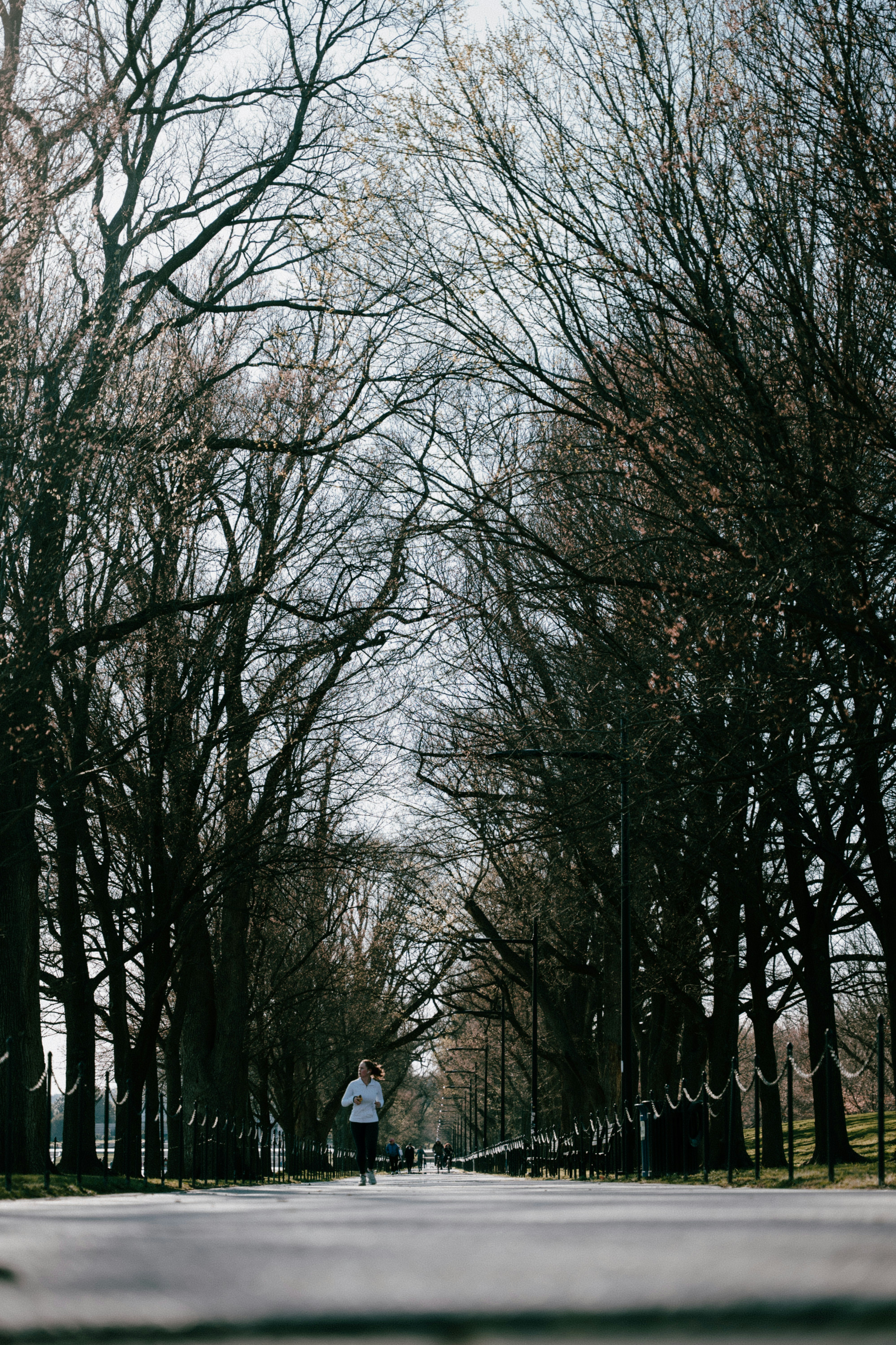 Photo by josefigueroa_mov
