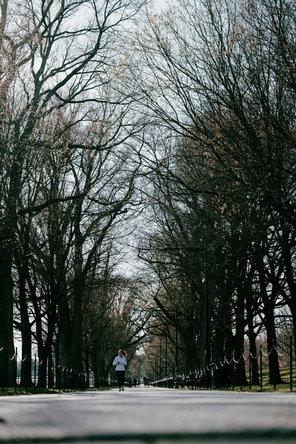 a man riding a skateboard down a tree lined street