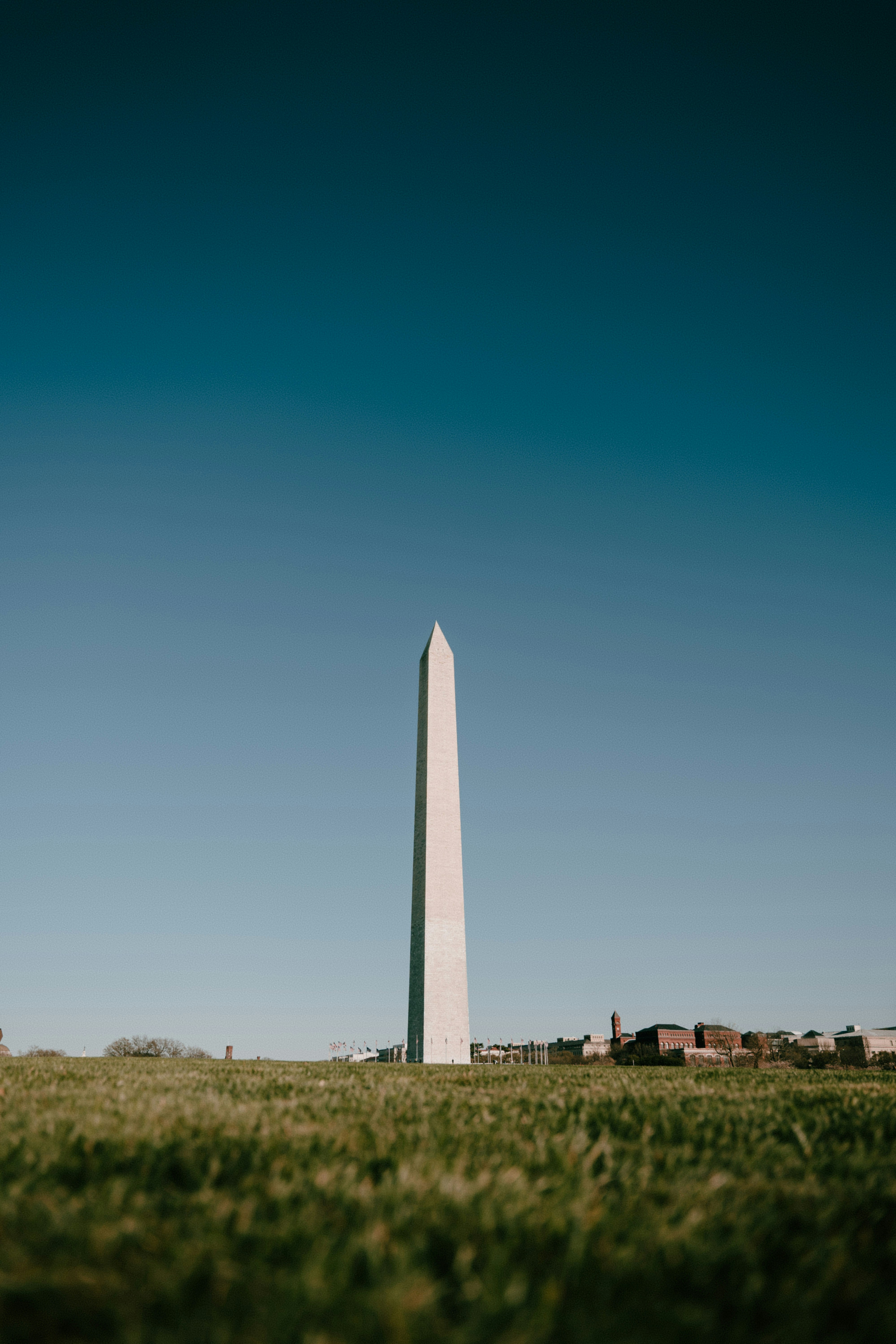 Photo by josefigueroa_mov