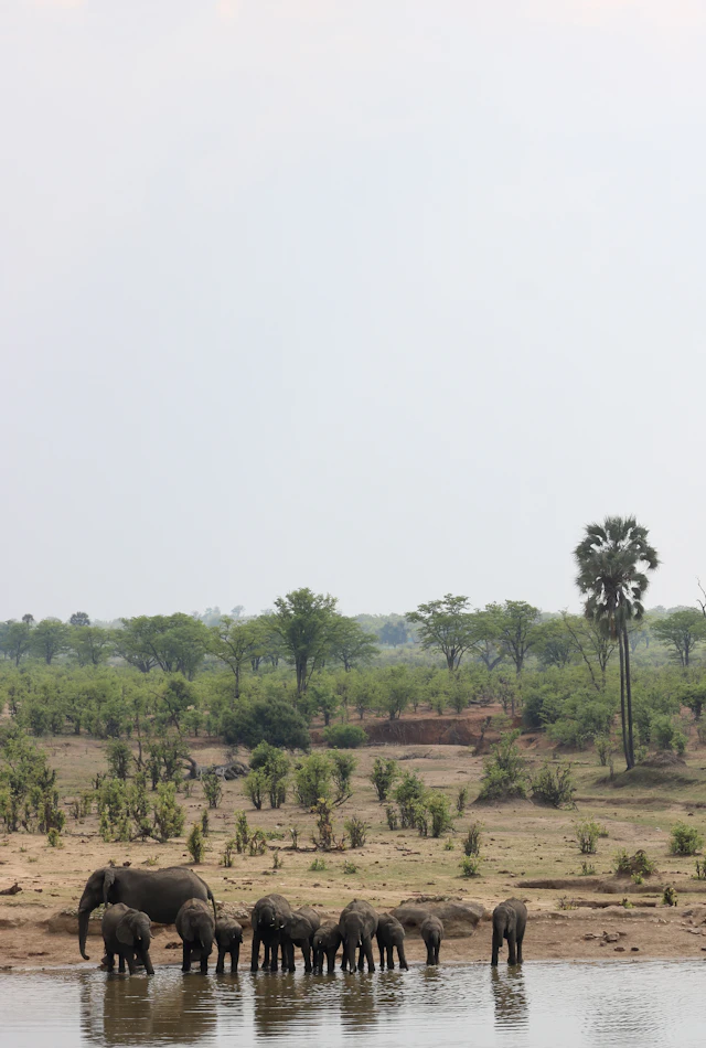 Hwange National Park