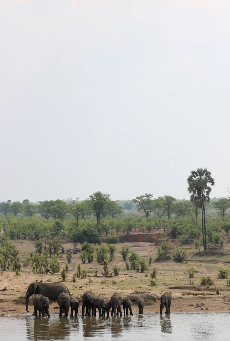 Hwange National Park