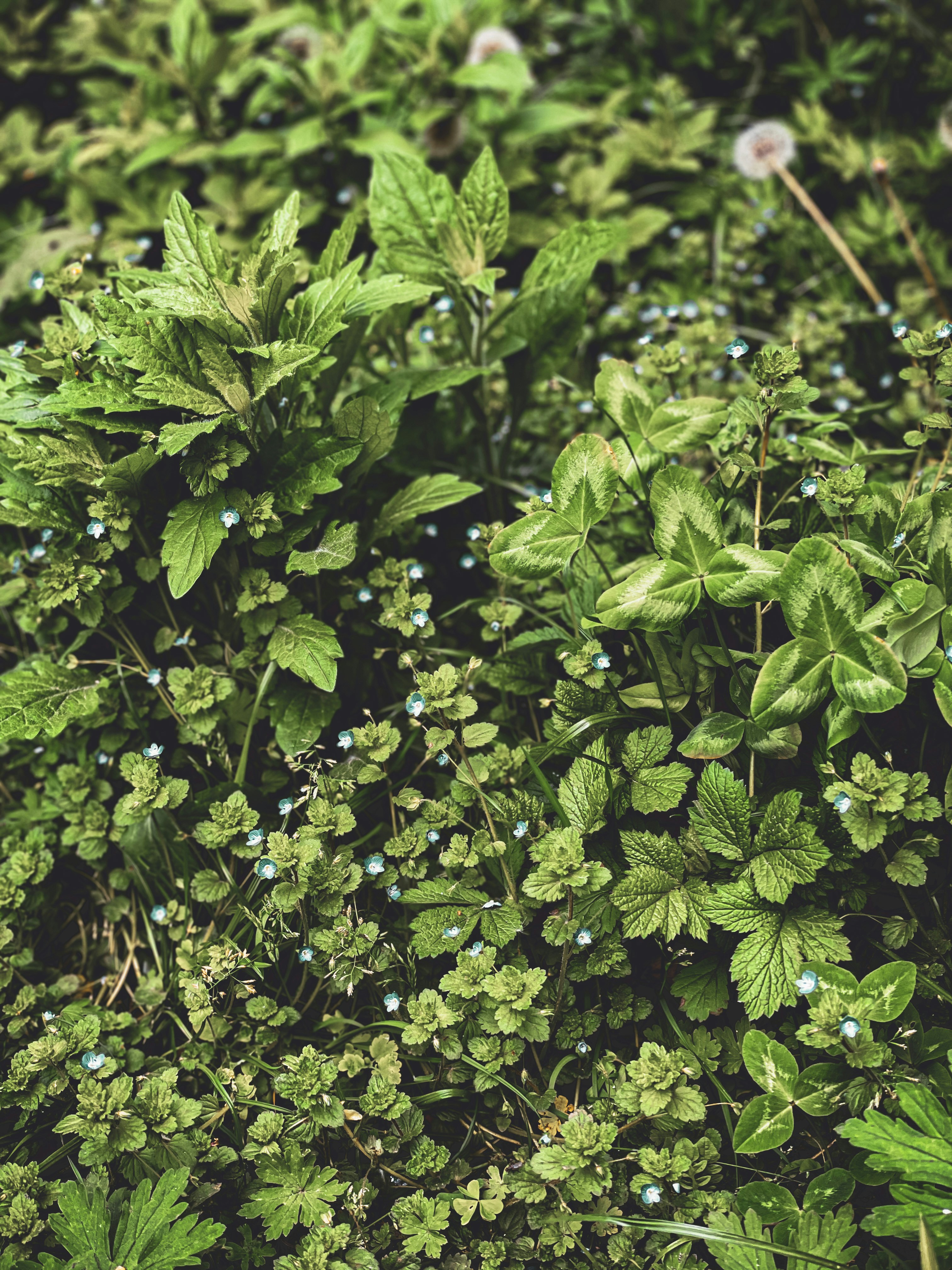 Photo by lenafedorov