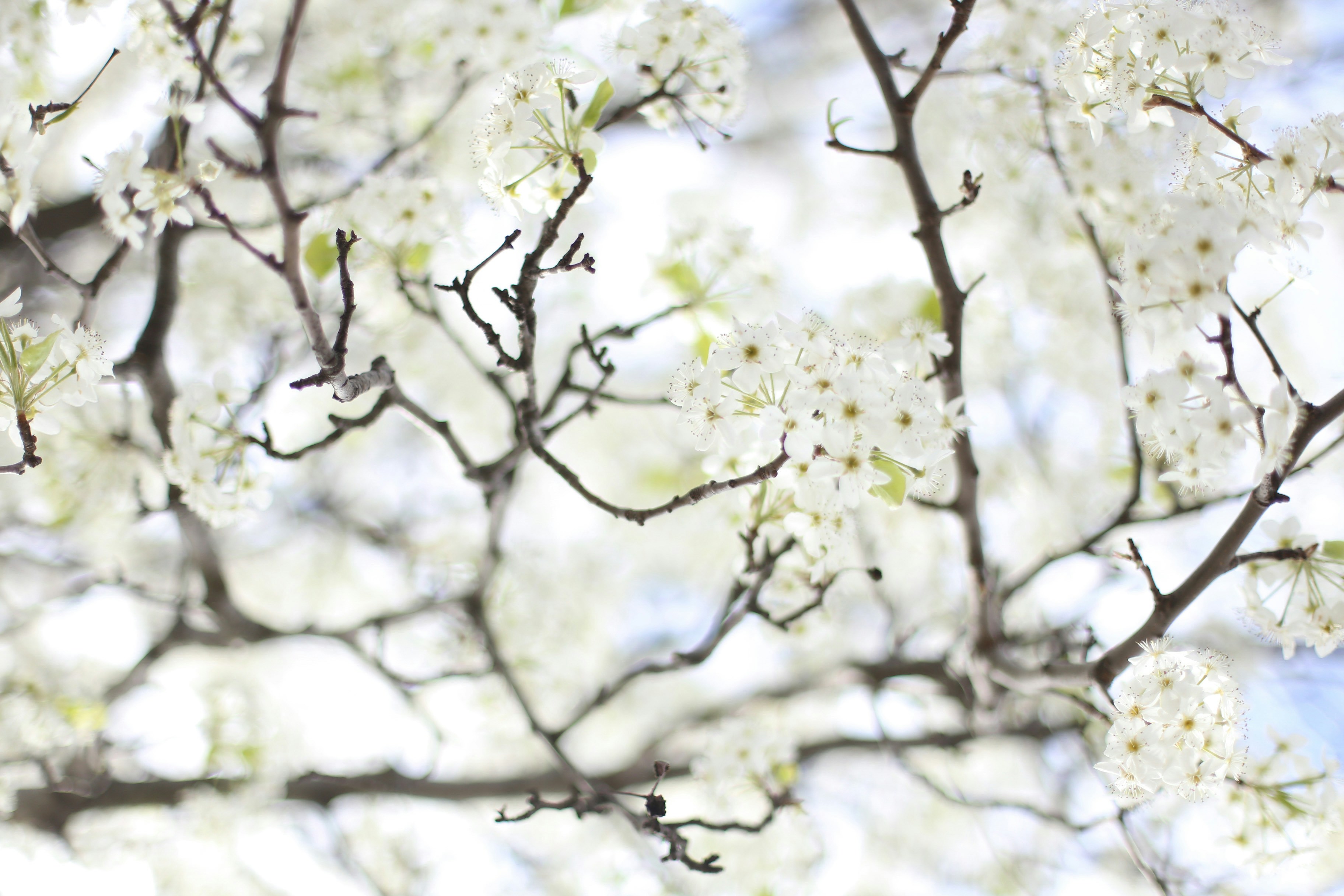 Photo by jessicalfadel