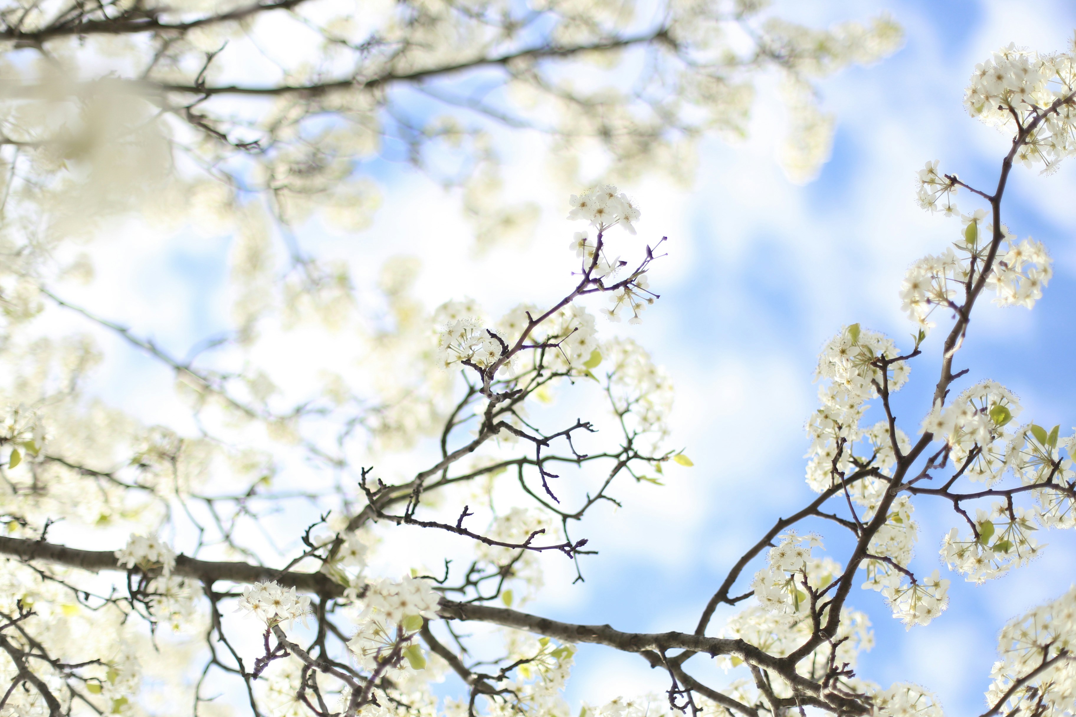 Photo by jessicalfadel