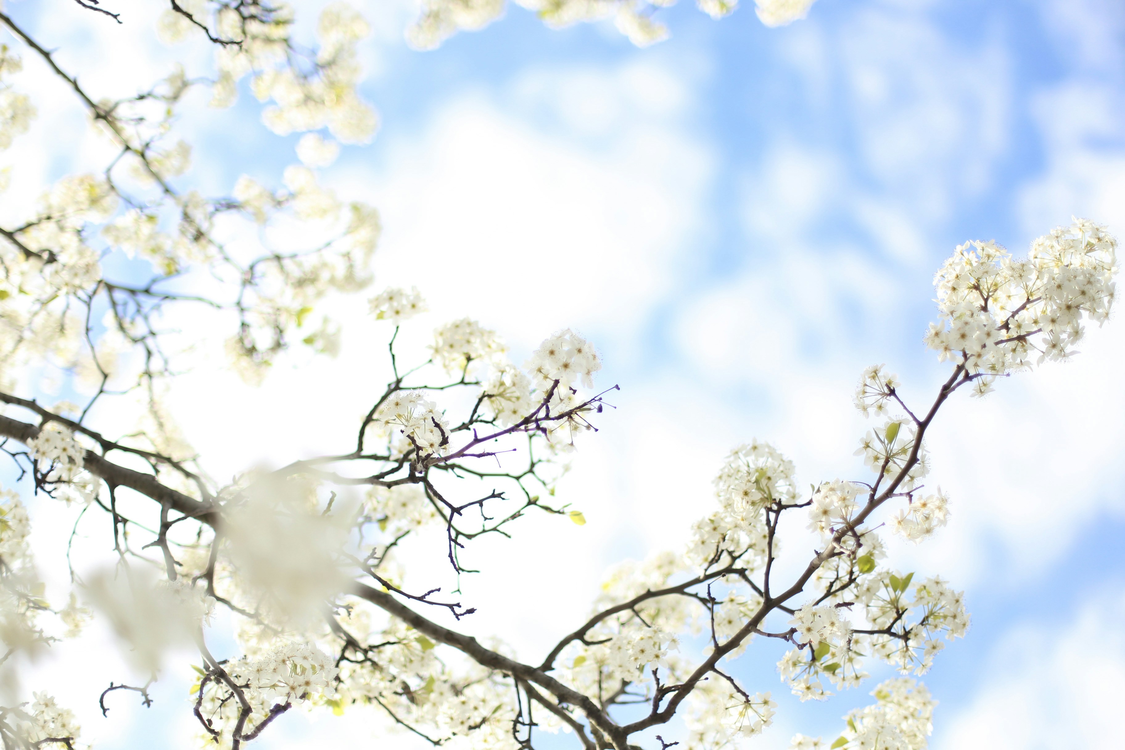 Photo by jessicalfadel