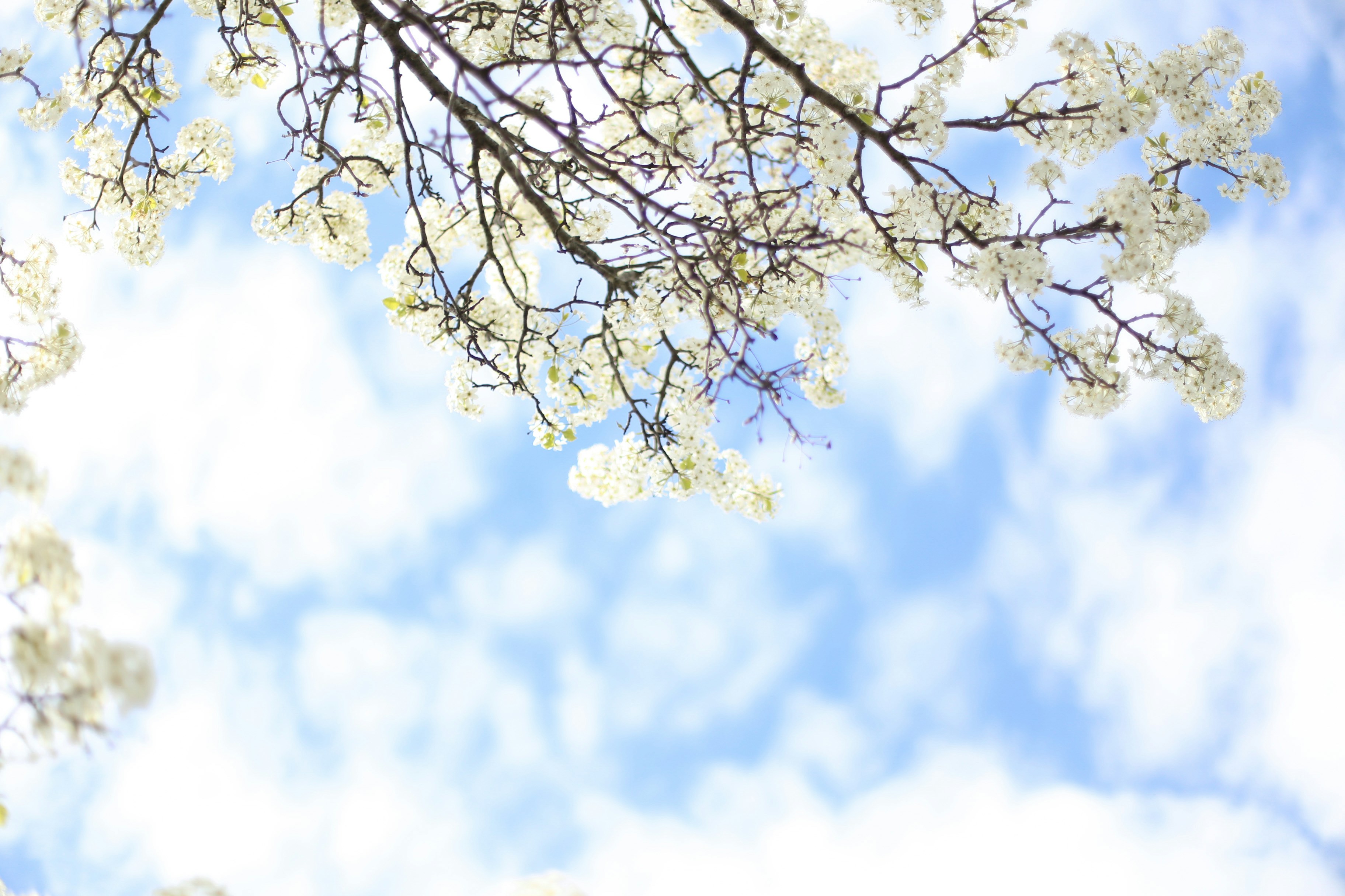 Photo by jessicalfadel