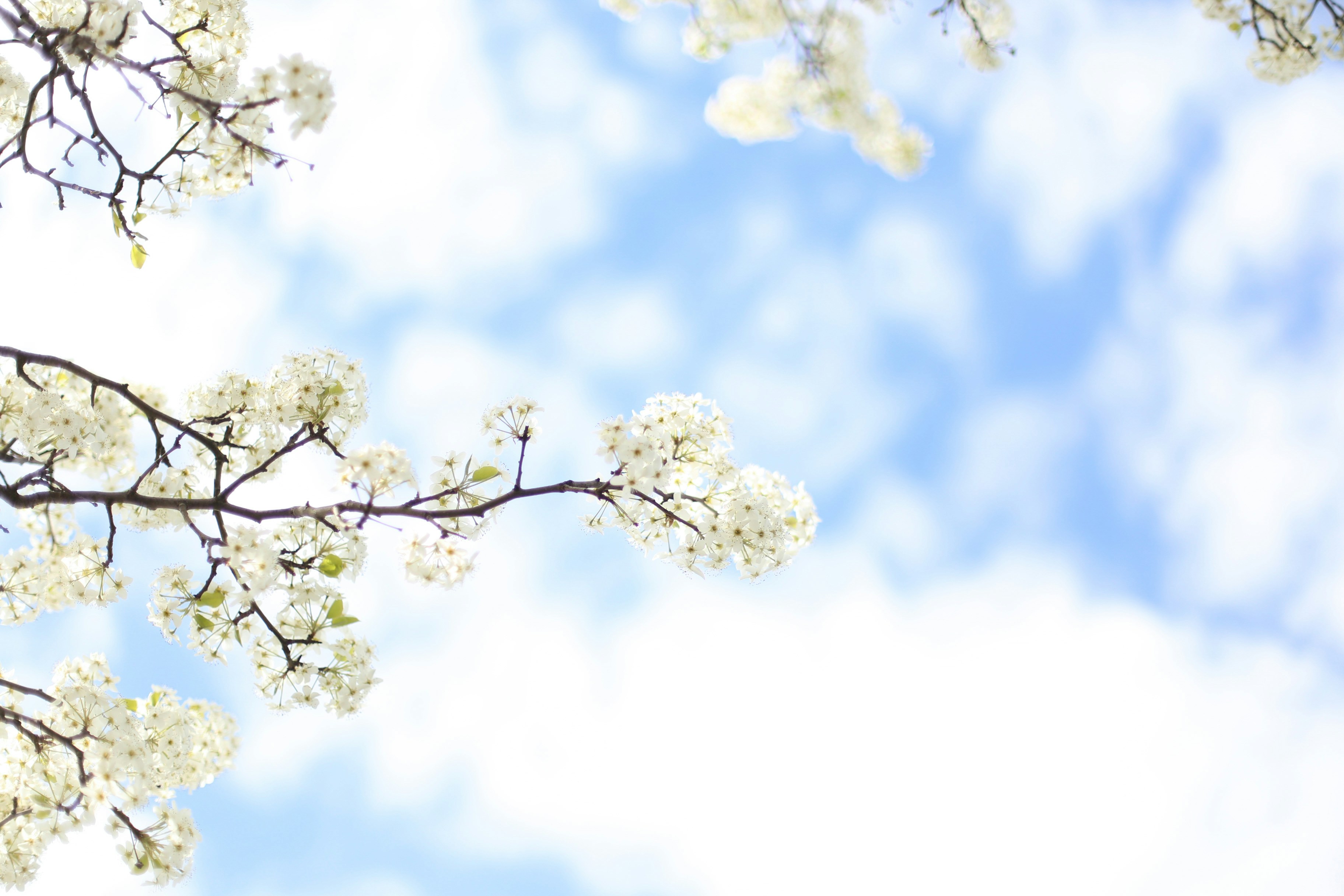 Photo by jessicalfadel