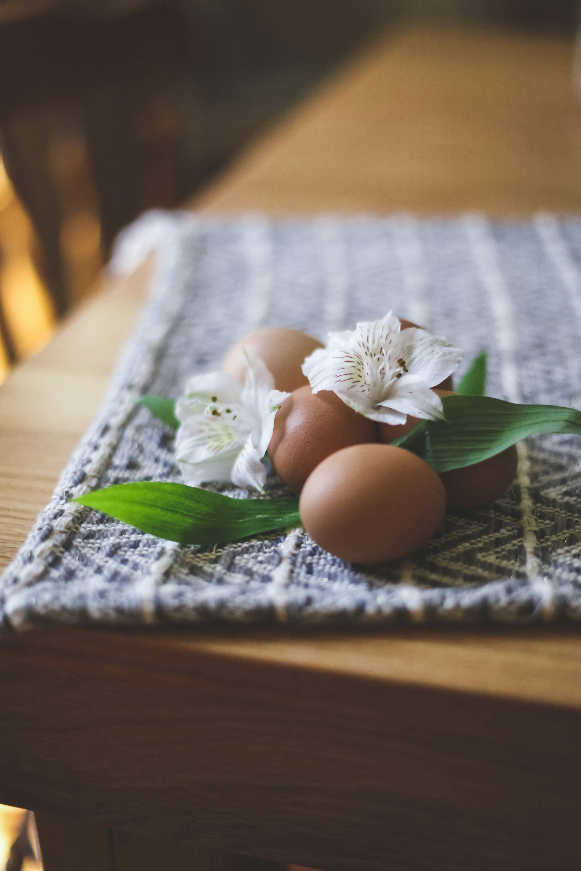 Photo by jessicalfadel