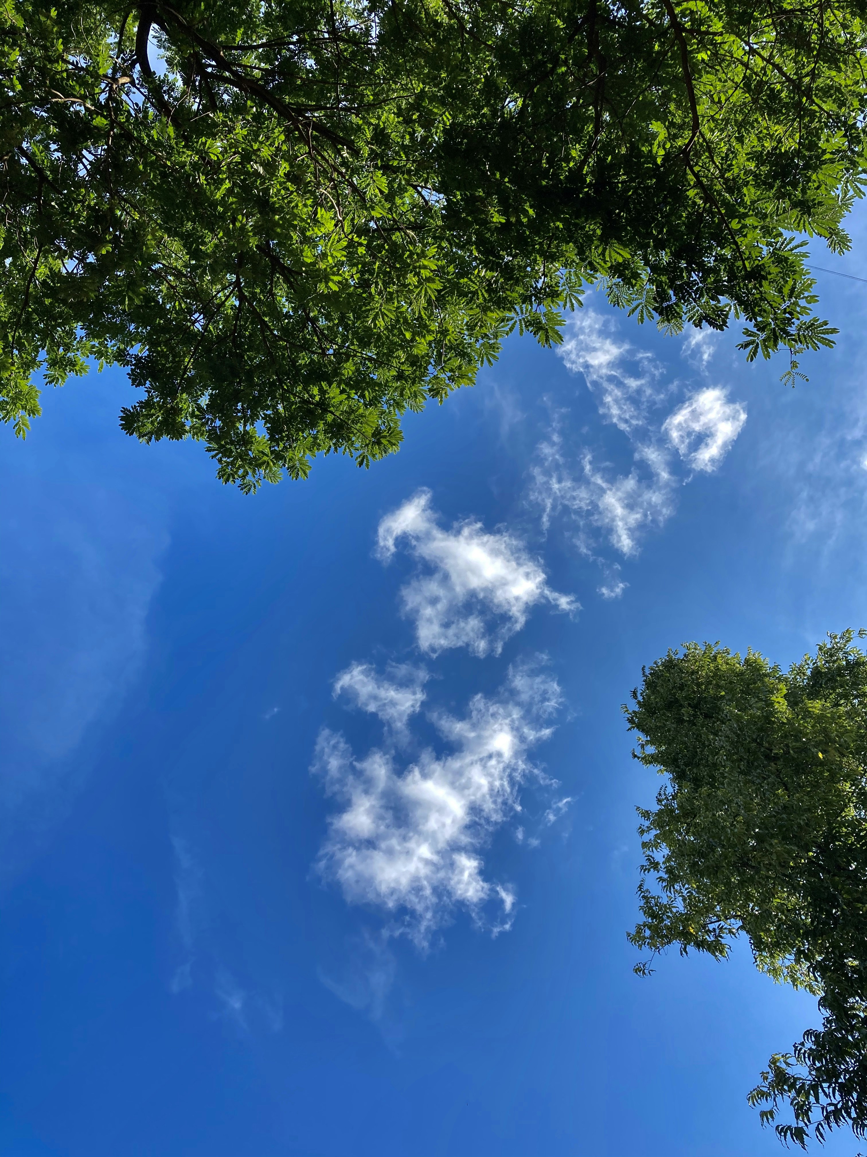 Photo by 24k_trivedi