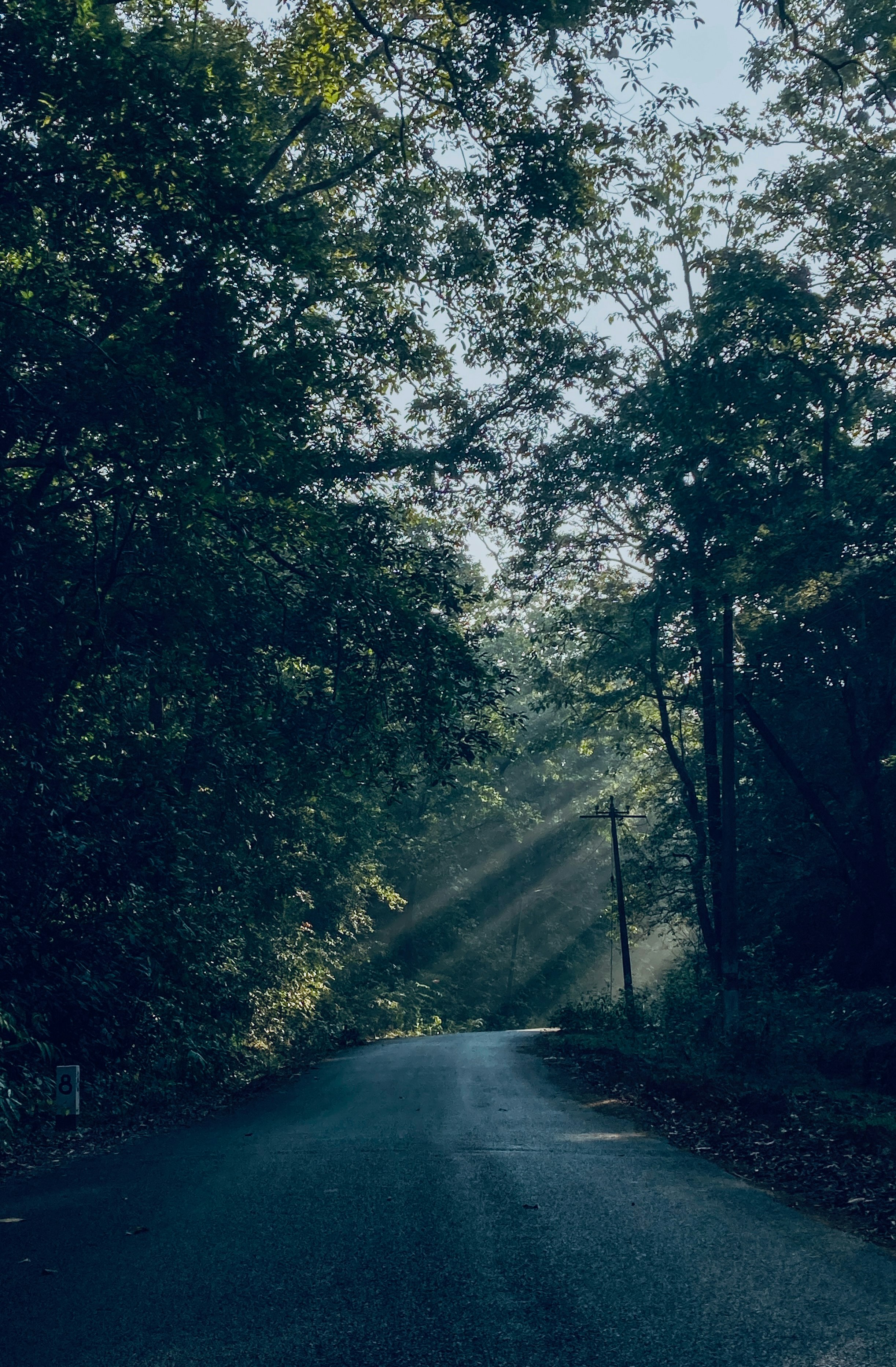 Photo by 24k_trivedi