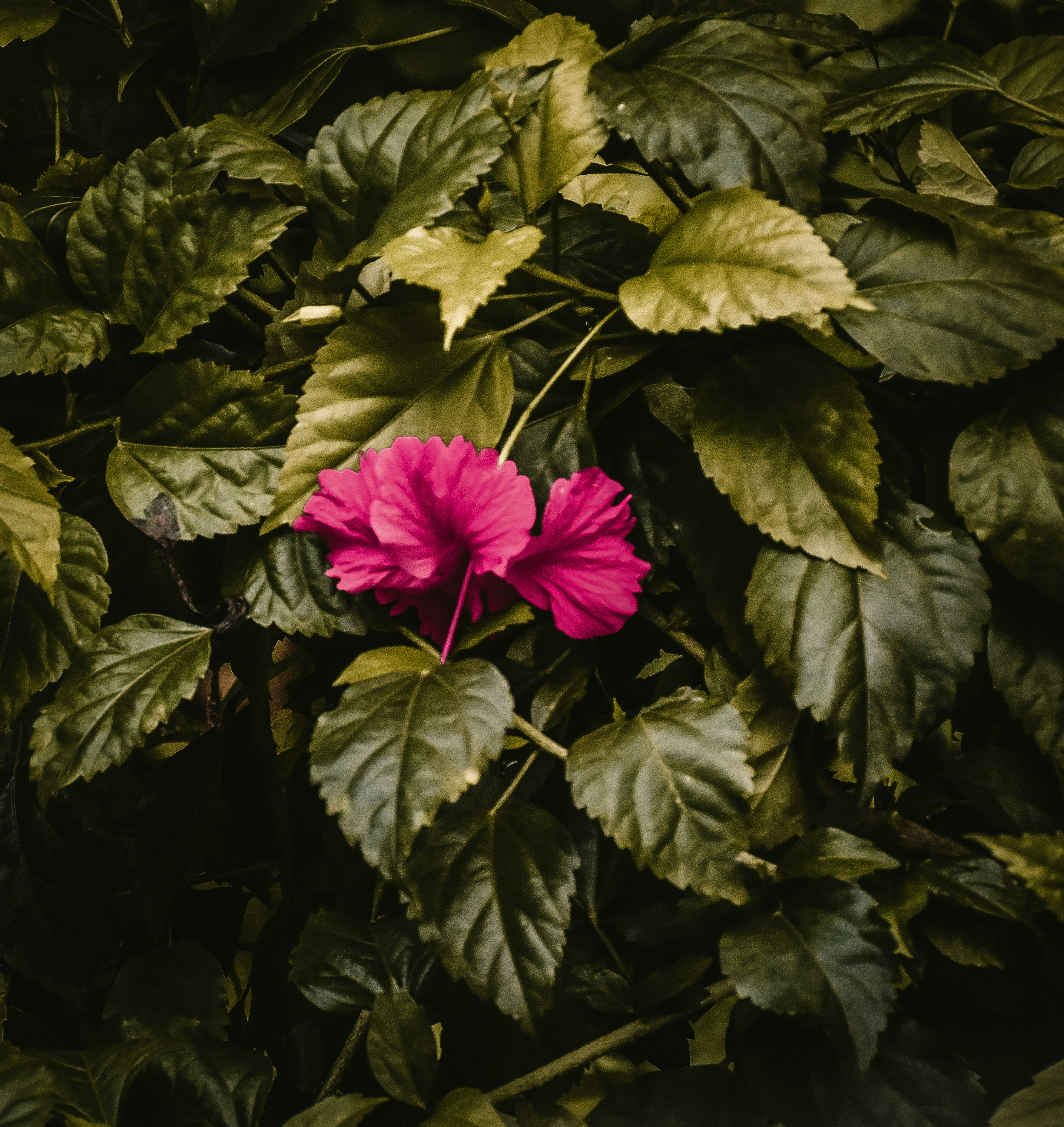 Photo by ankita_clicks