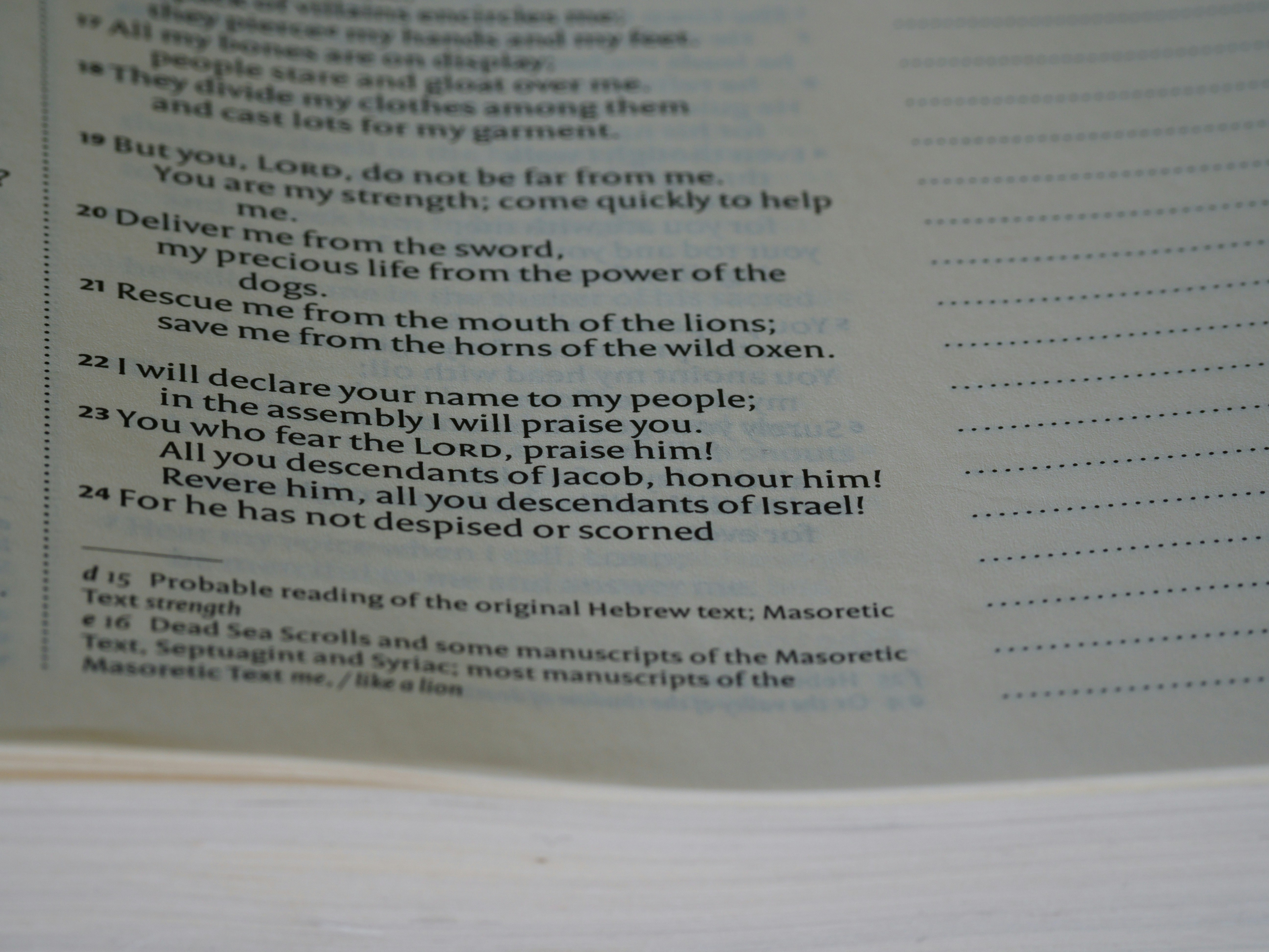 Photo by brett_jordan