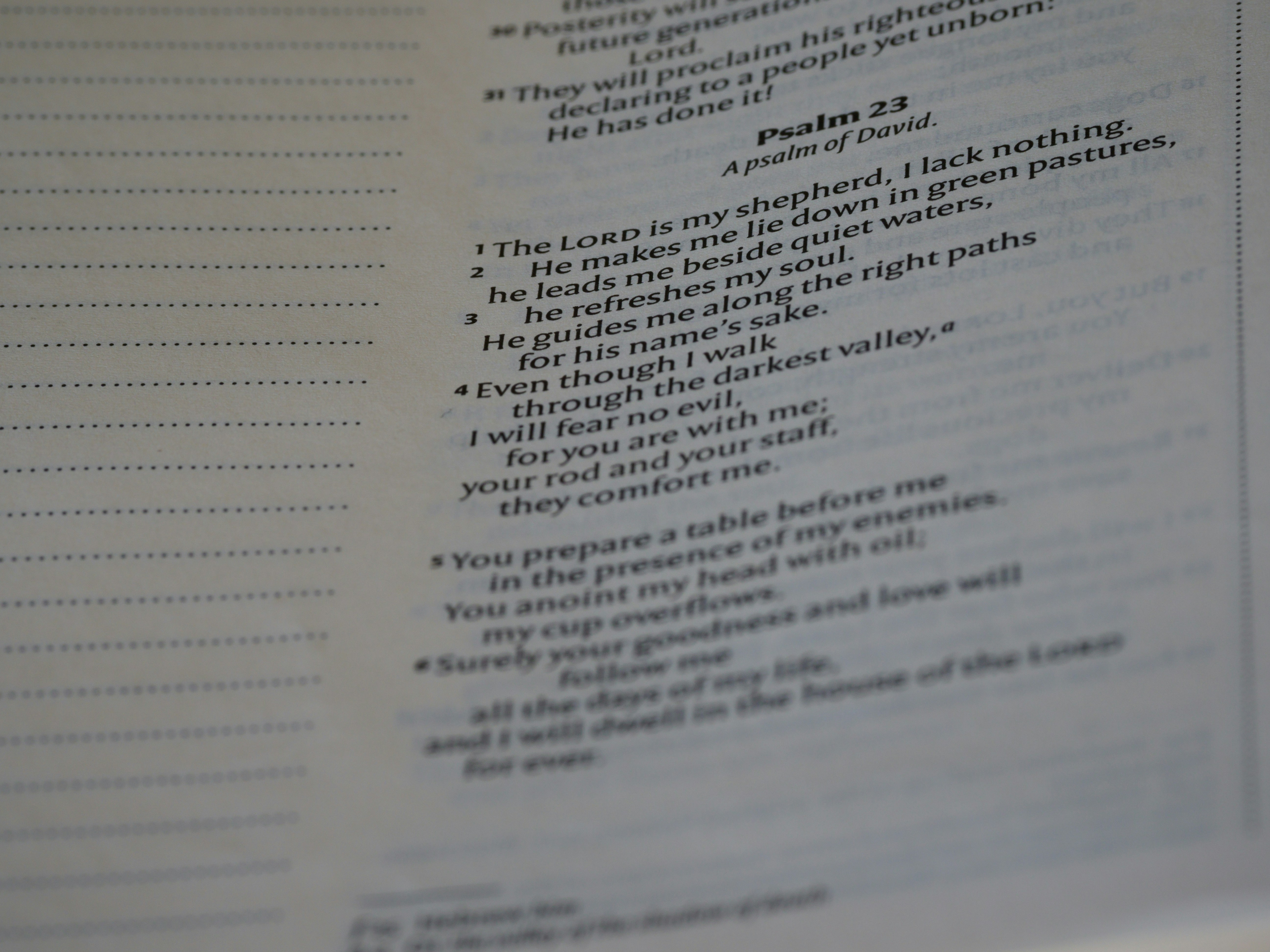 close up, bokeh, macro, blur, blurred background, close focus, bible, old testament, hebrew bible, christian, judaism, history, text, reading, bible study, devotions, text, NIV, New International Version, type, typography, canon, christianity, holy scripture, holy bible, scripture, old testament, hebrew bible, תְּהִלִּים, psalms, psalter, ketuvim, writings, tanakh, king david, <br />