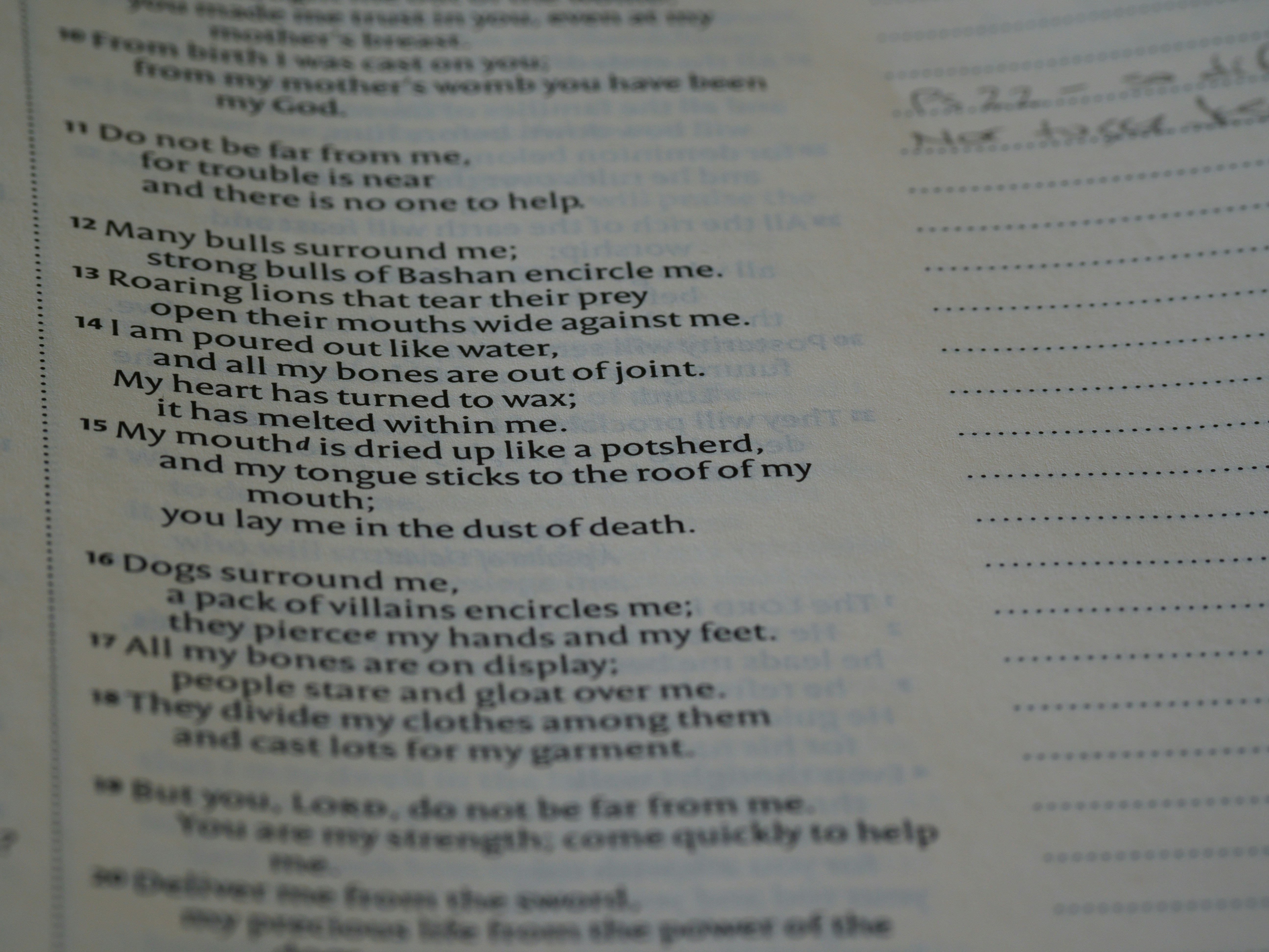 Photo by brett_jordan