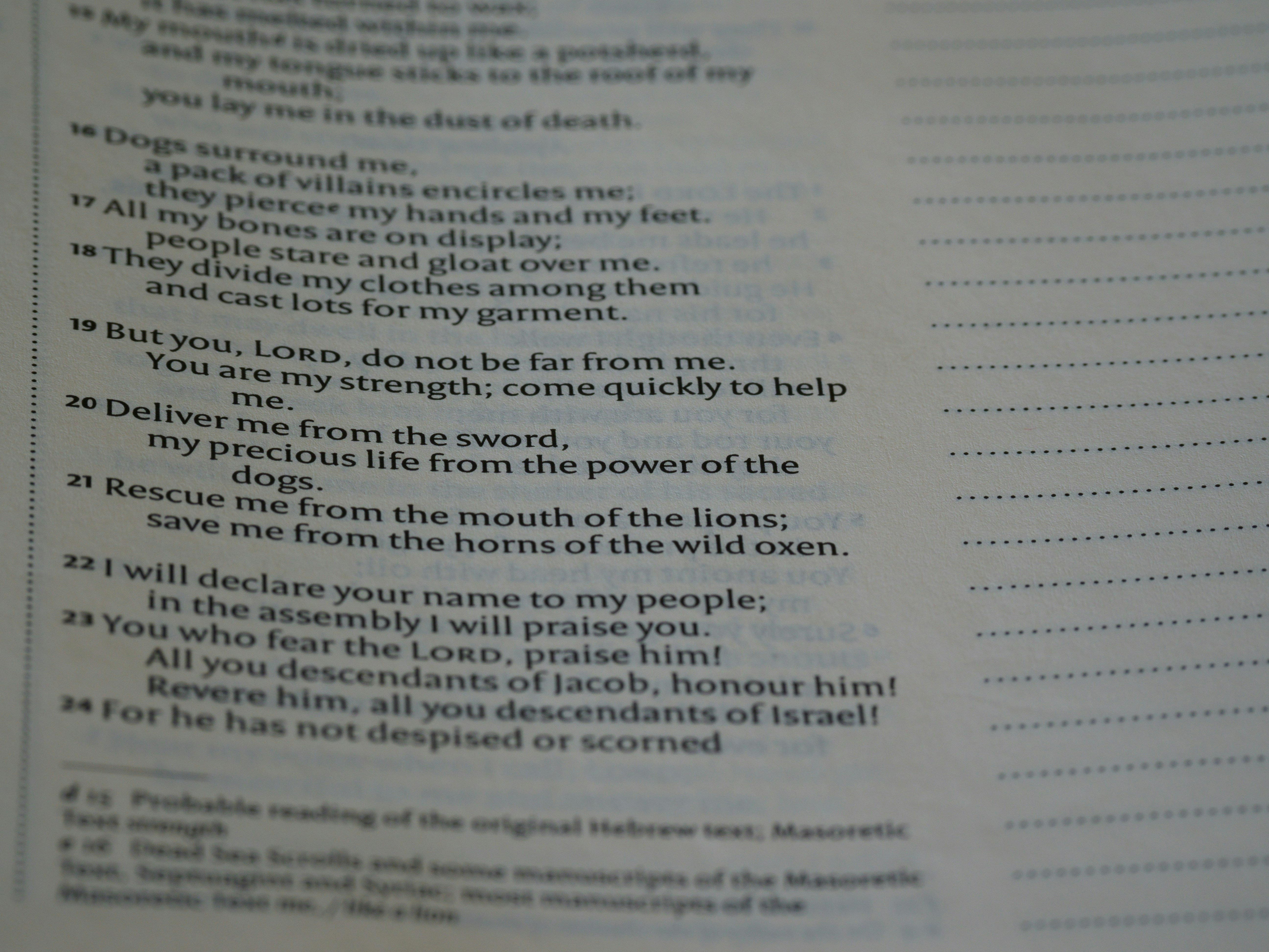 Photo by brett_jordan