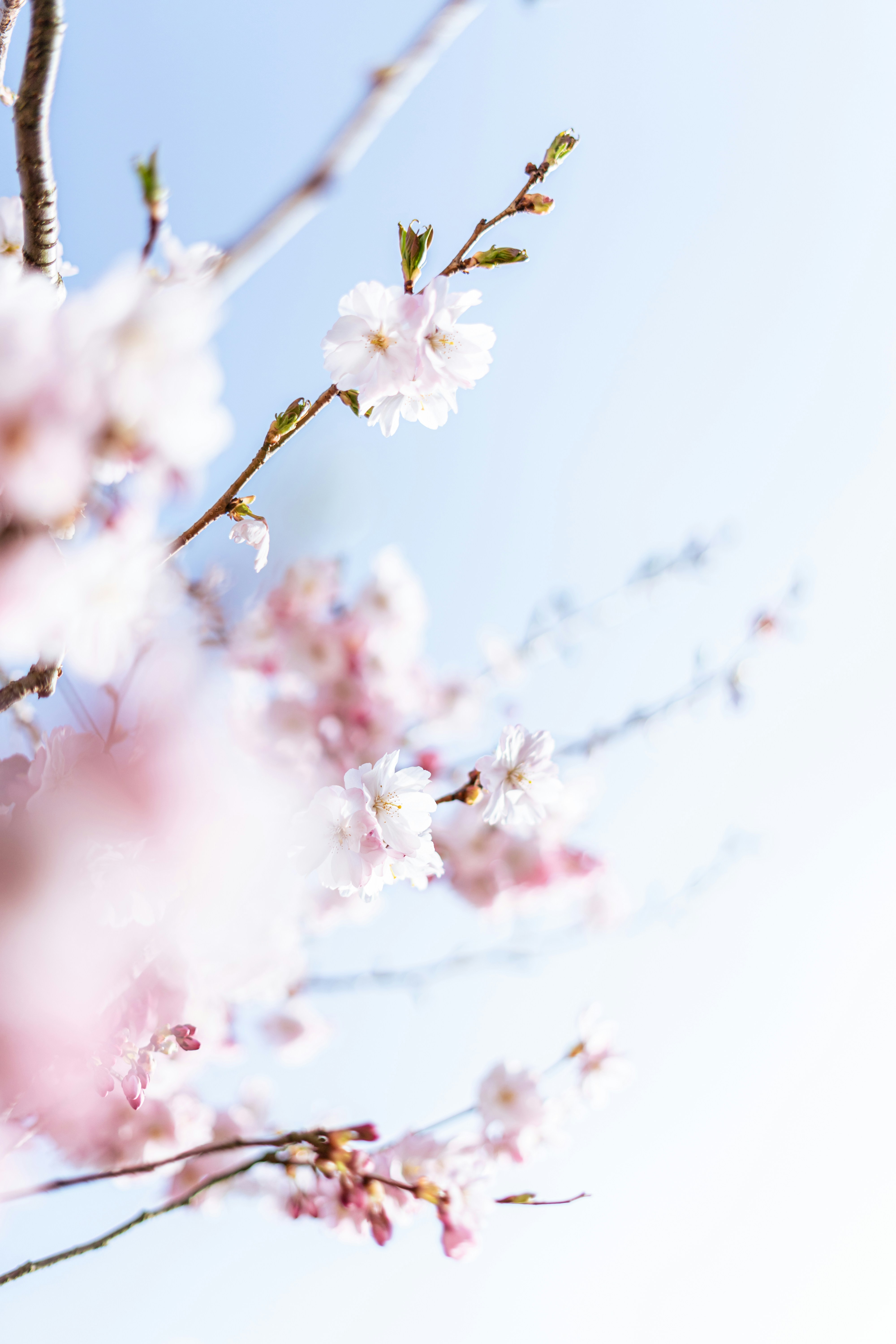 Photo by virussinside