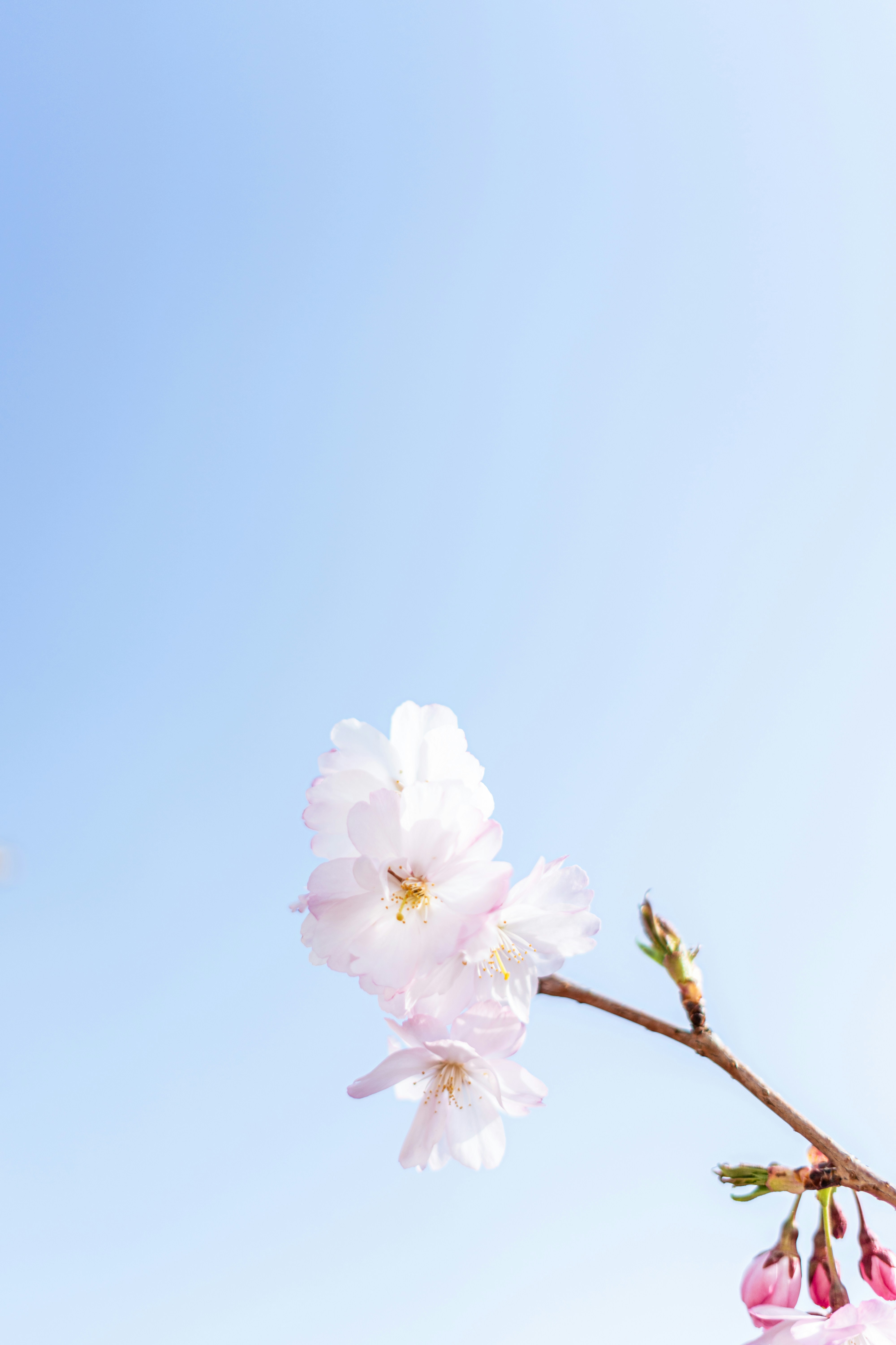 Photo by virussinside