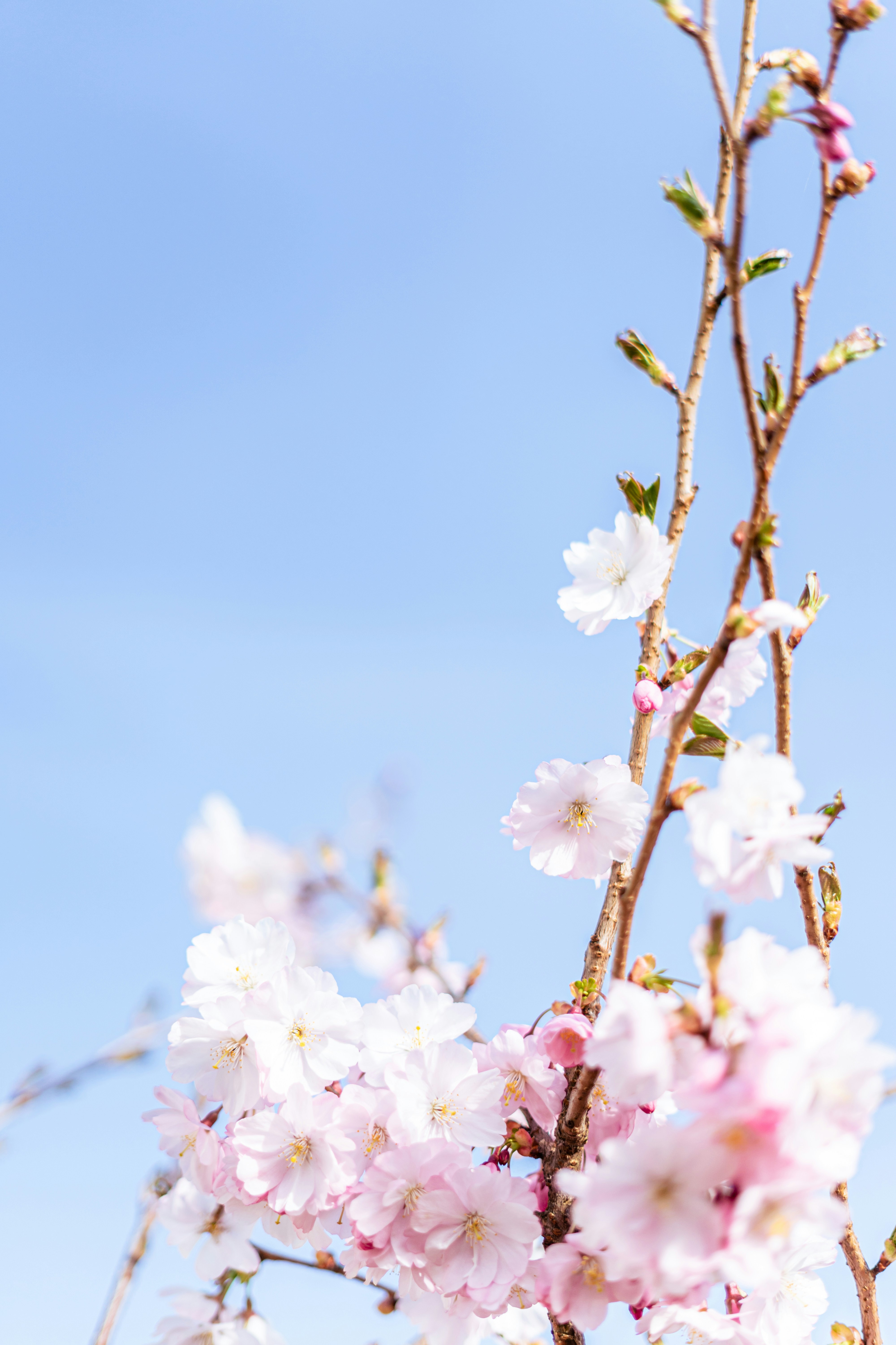 Photo by virussinside