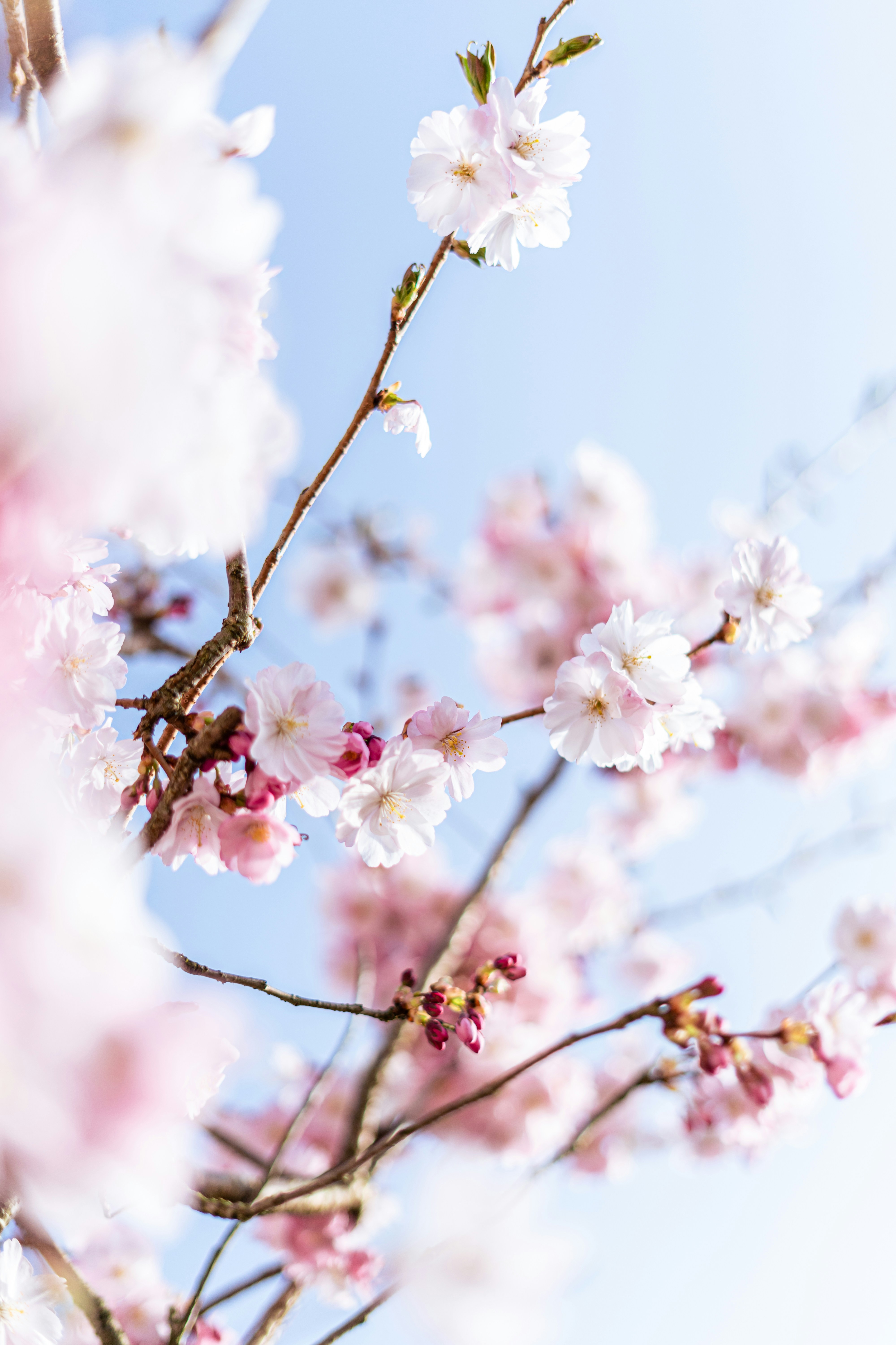 Photo by virussinside