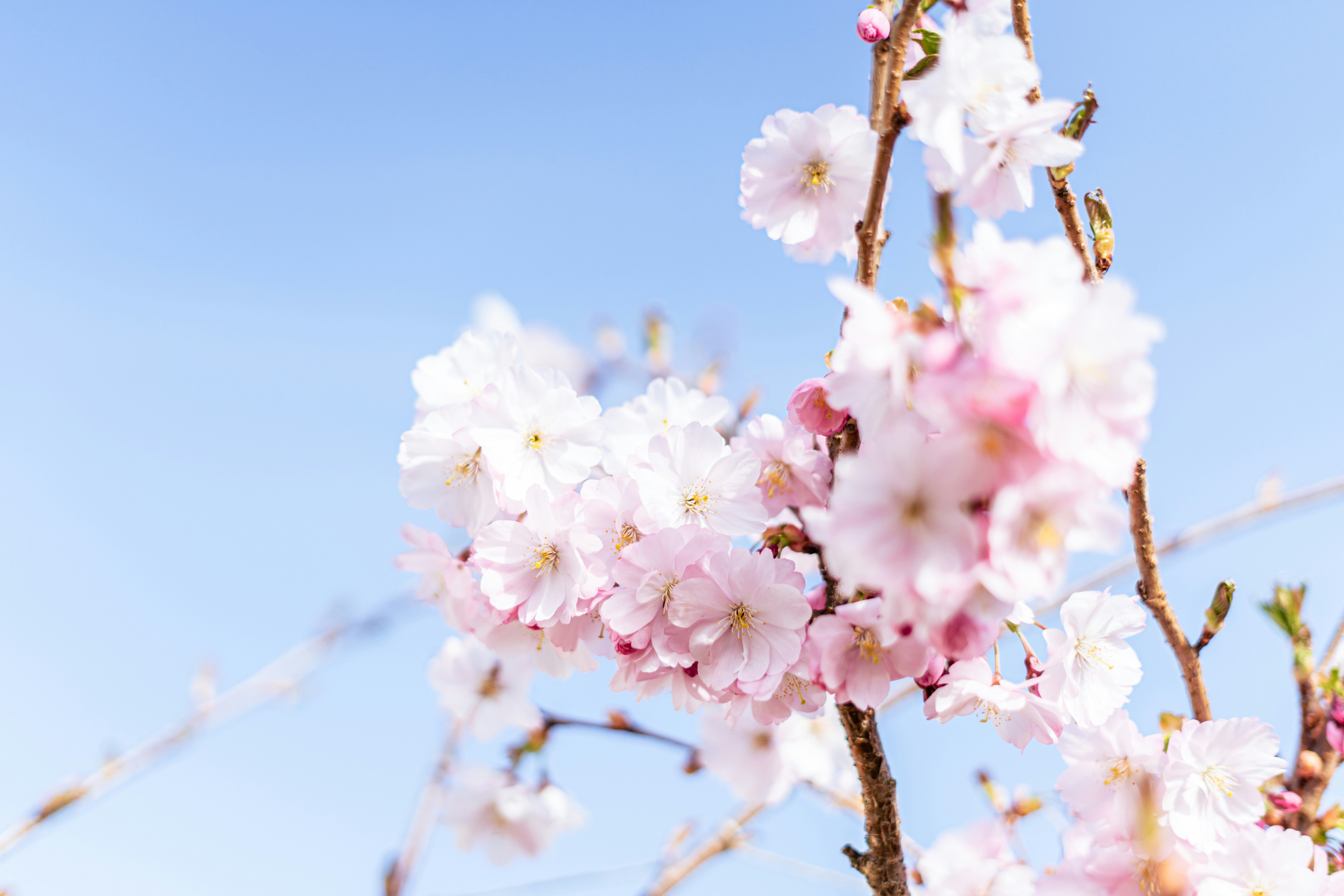 Photo by virussinside