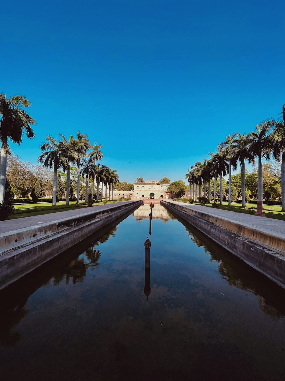 a large body of water surrounded by palm trees