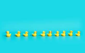 a row of yellow rubber ducks on a blue background