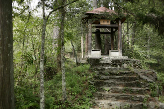 a gazebo sitting in the middle of a forest