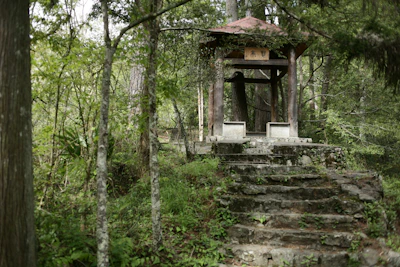 a gazebo sitting in the middle of a forest