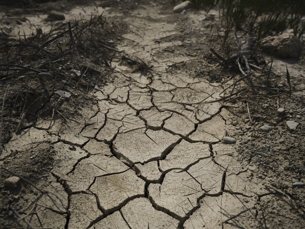 un chemin de terre avec des fissures dans le sol