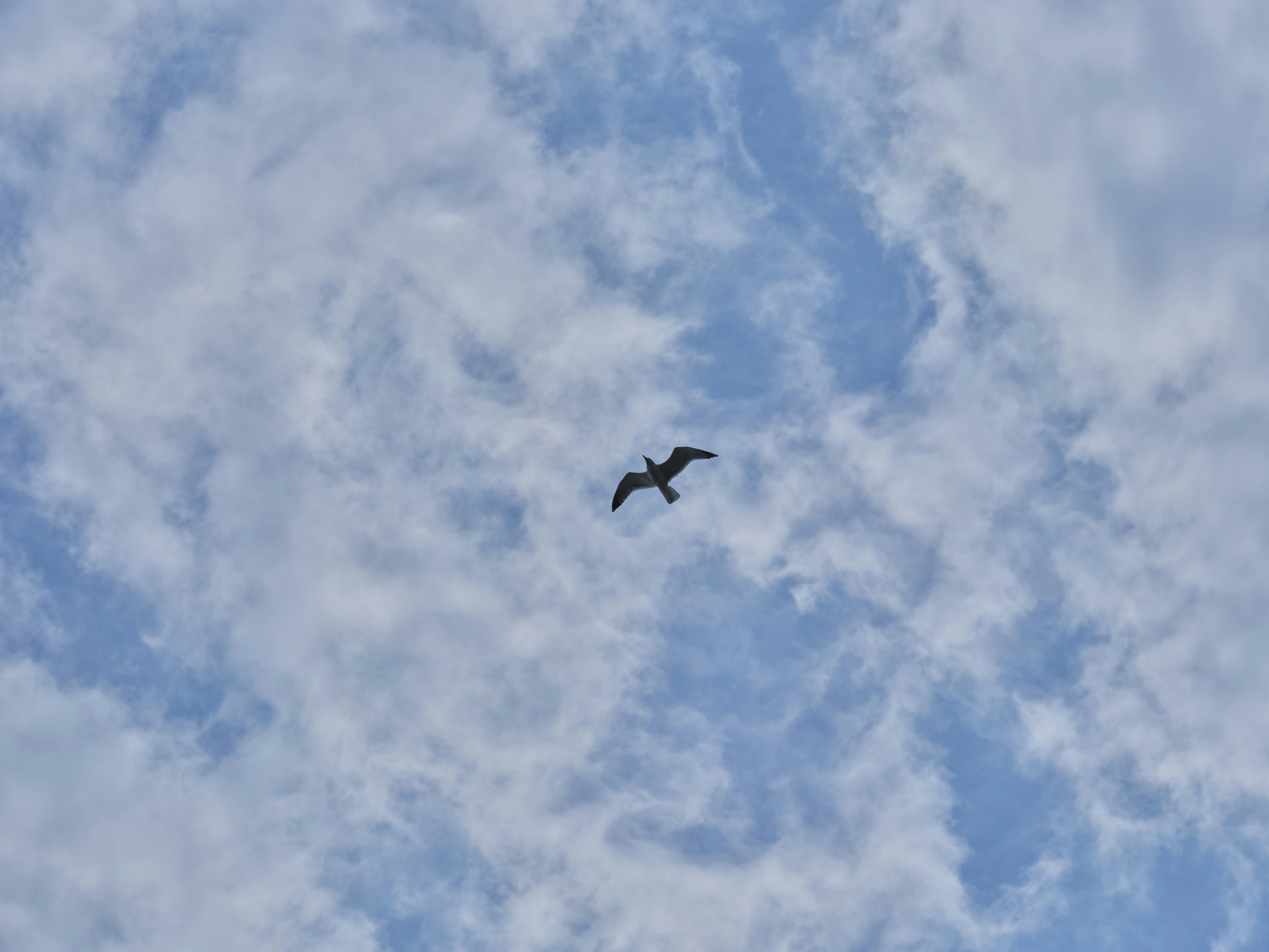 Photo by enginakyurt