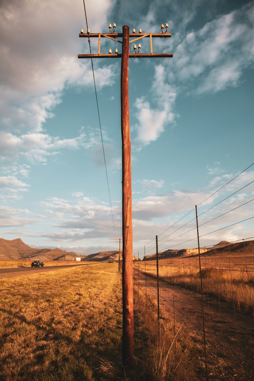 a telephone pole in the middle of a field