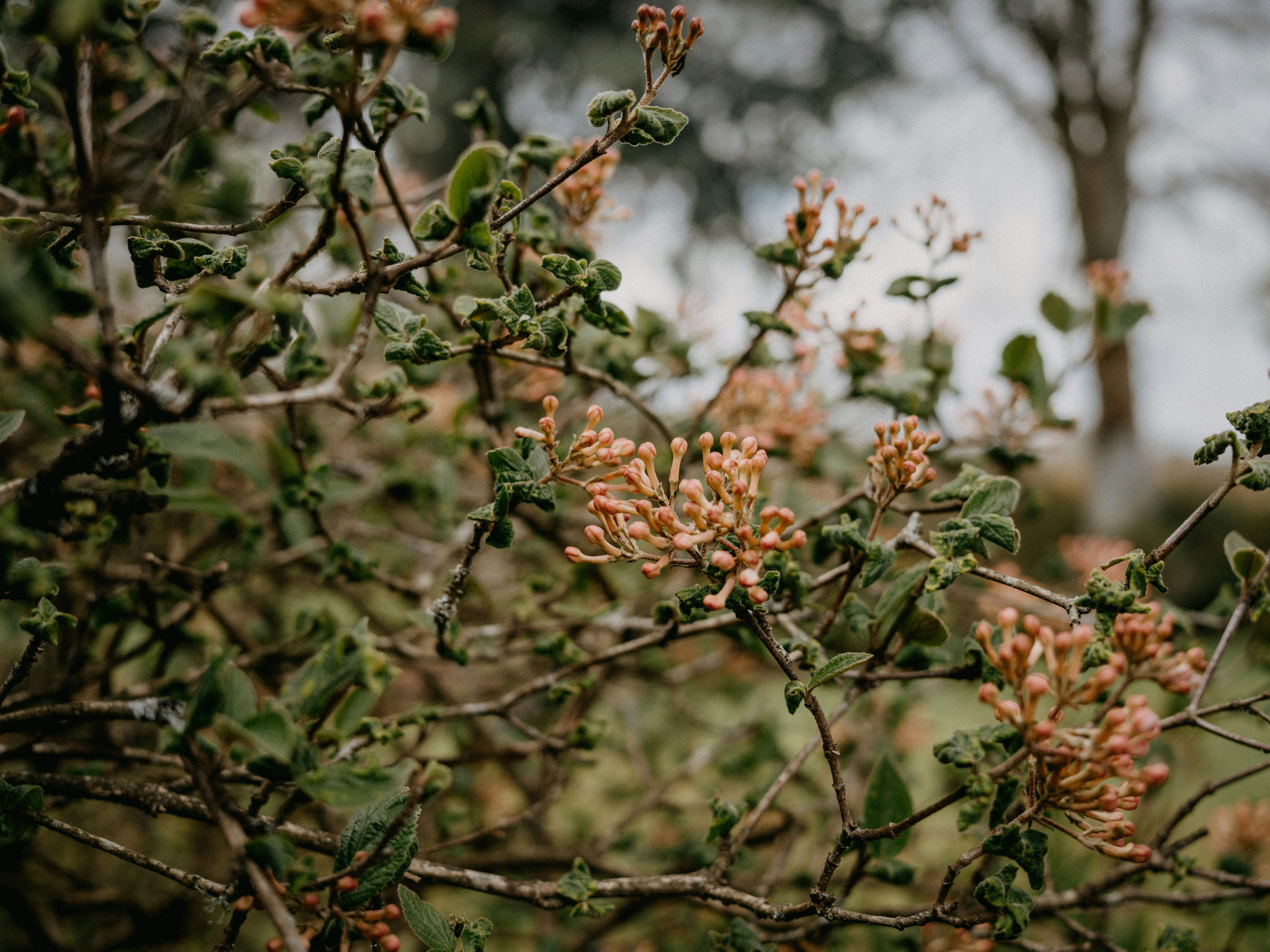 Photo by anniespratt