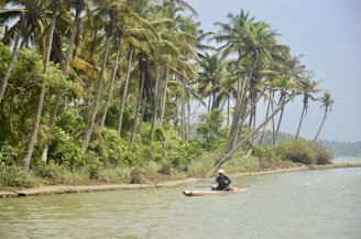 A serene scene featuring a person paddling on a small raft along a calm river bordered by lush green vegetation. Tall coconut palm trees lean over the water, creating a natural canopy.
