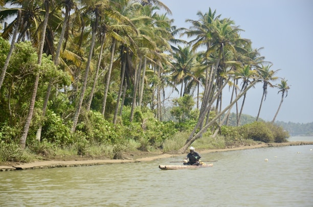 A serene scene featuring a person paddling on a small raft along a calm river bordered by lush green vegetation. Tall coconut palm trees lean over the water, creating a natural canopy.