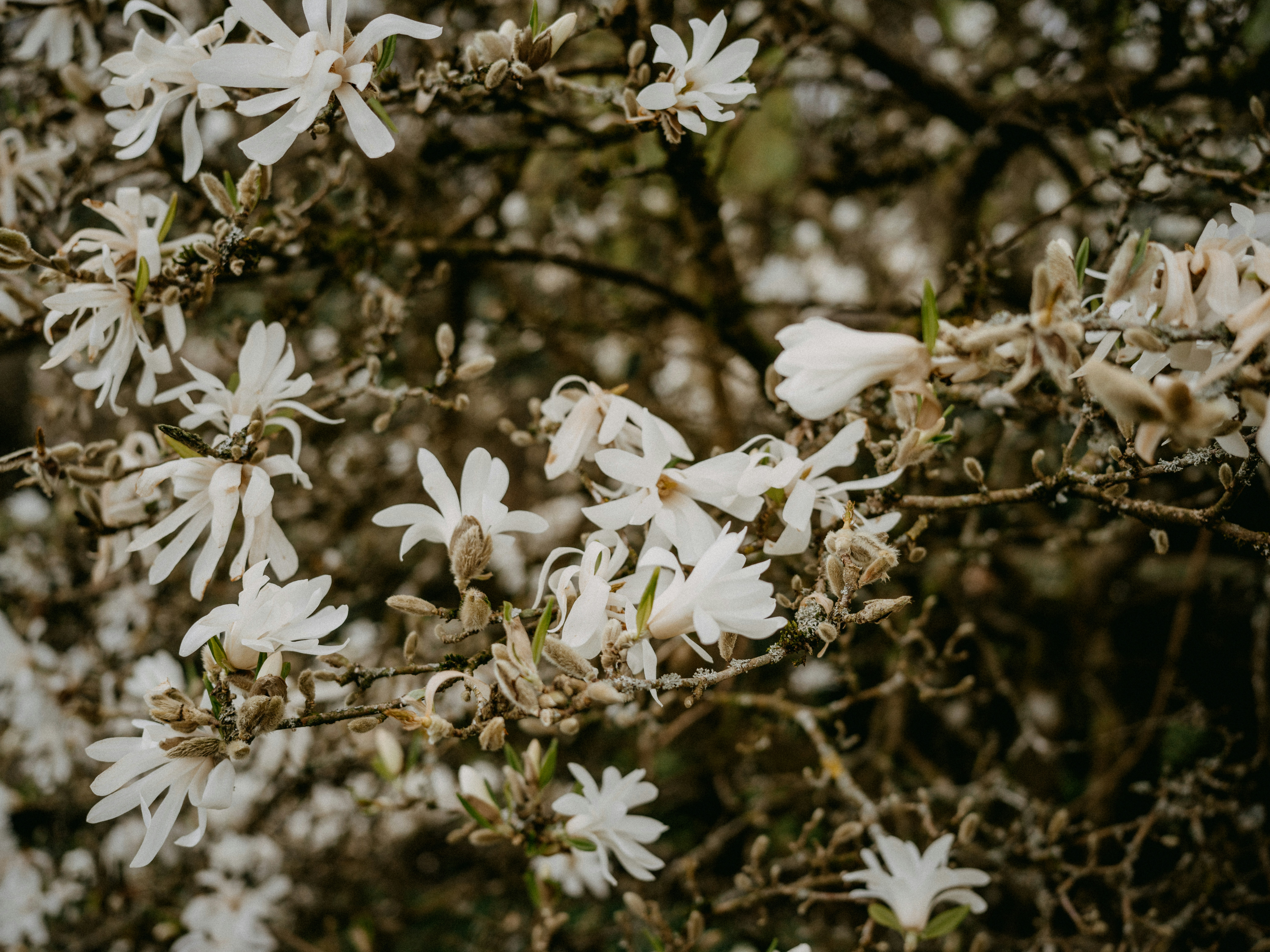 Photo by anniespratt