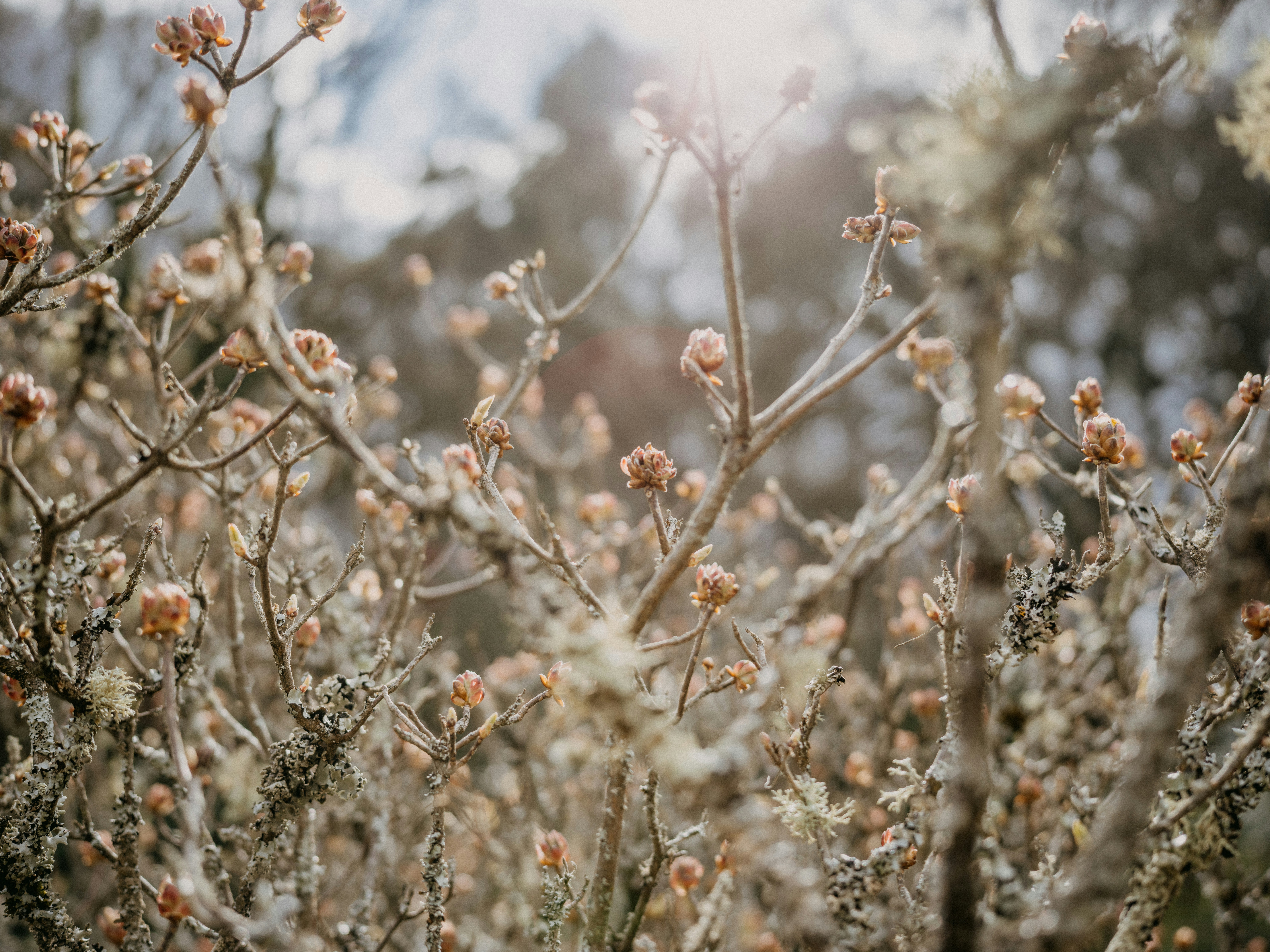 Photo by anniespratt