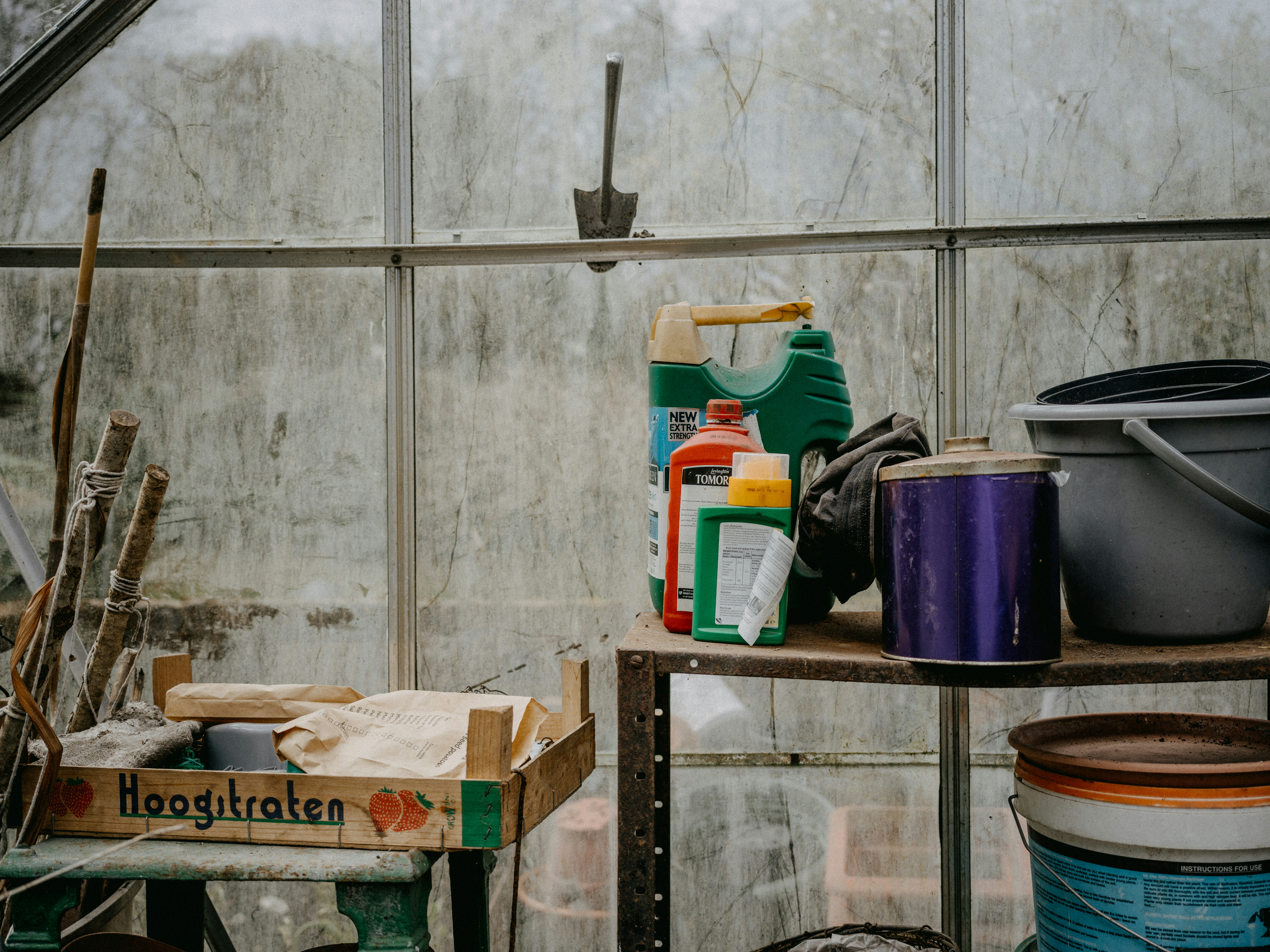 Photo by anniespratt