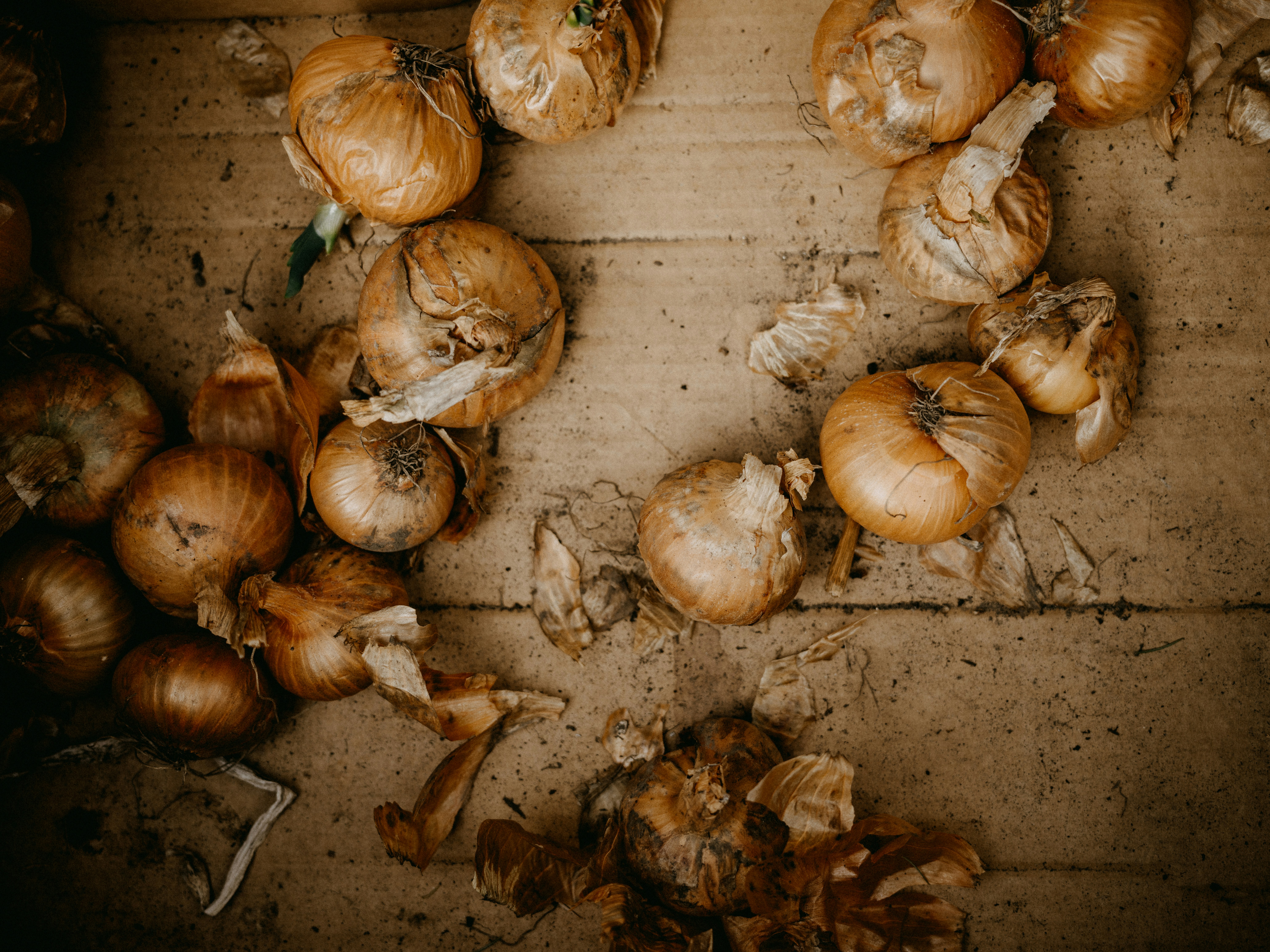 Photo by anniespratt