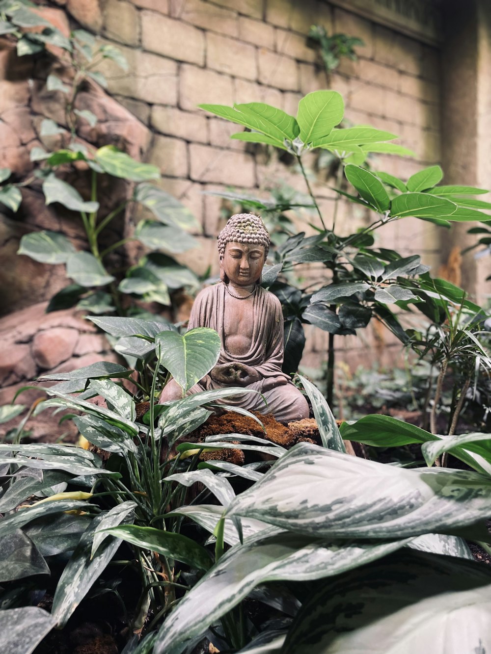 a buddha statue sitting in the middle of a garden